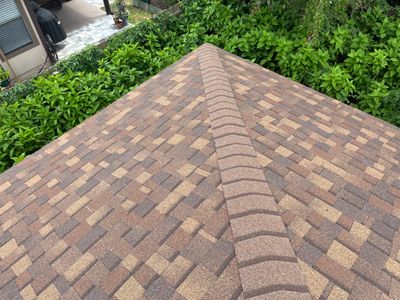 Shingle -> Shingle