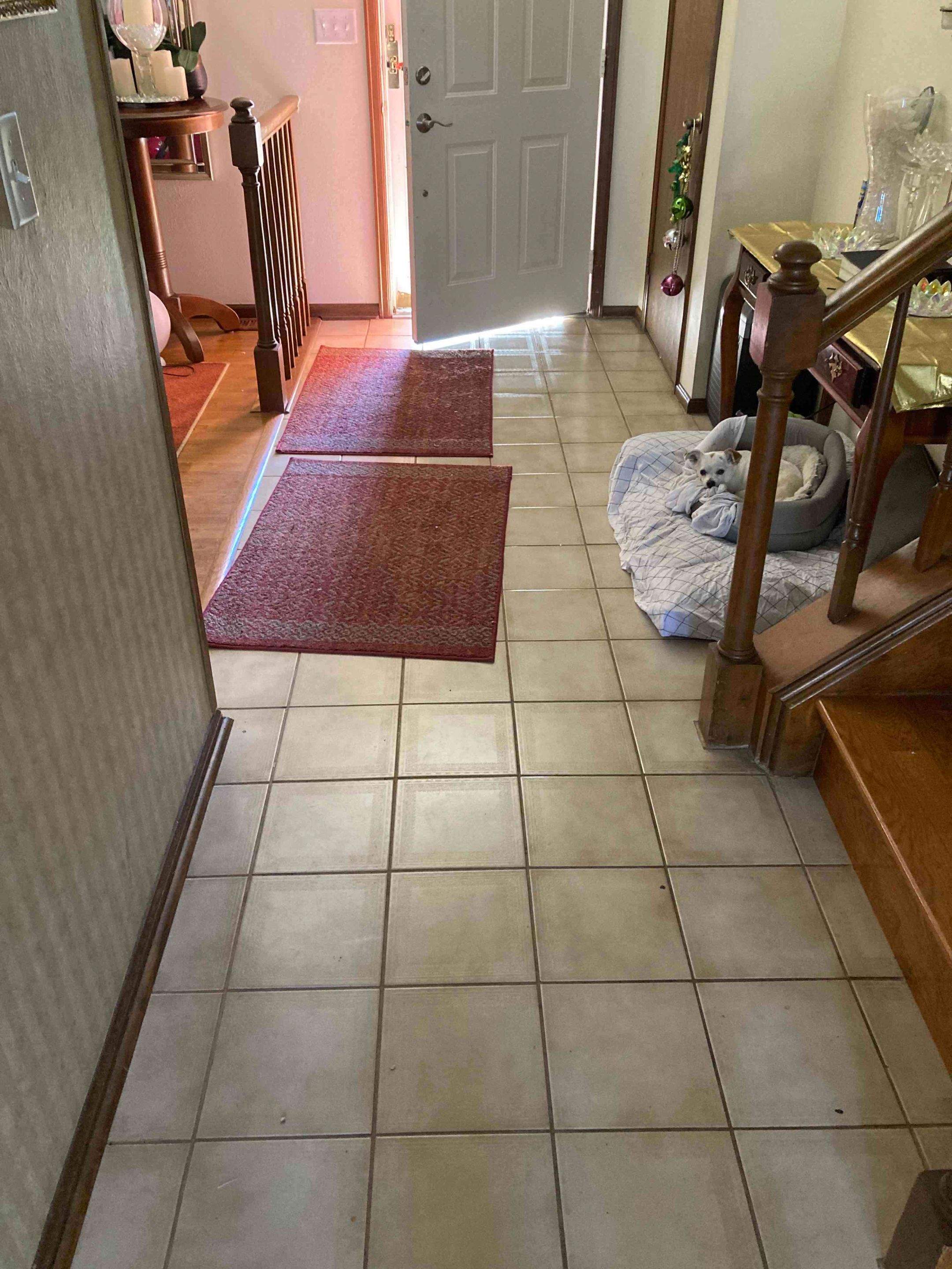 Mold Remediation using Containment by Accountable Home Services