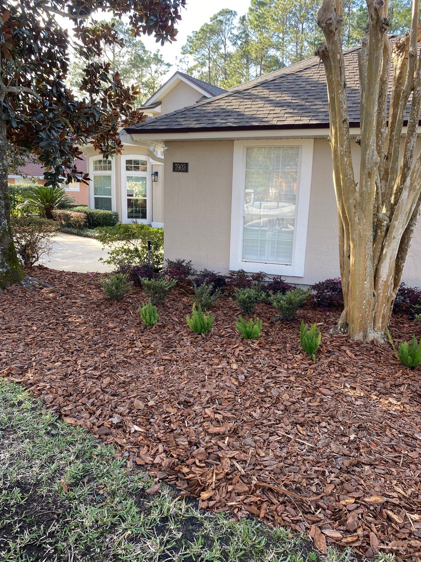 Residential | Landscaping by ProGreen Services