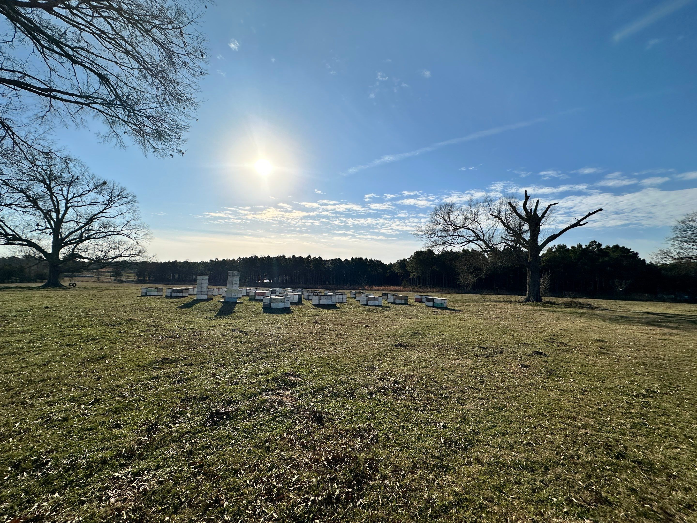 Peanut Farm Apiary by Rockwall Honey Bee Company