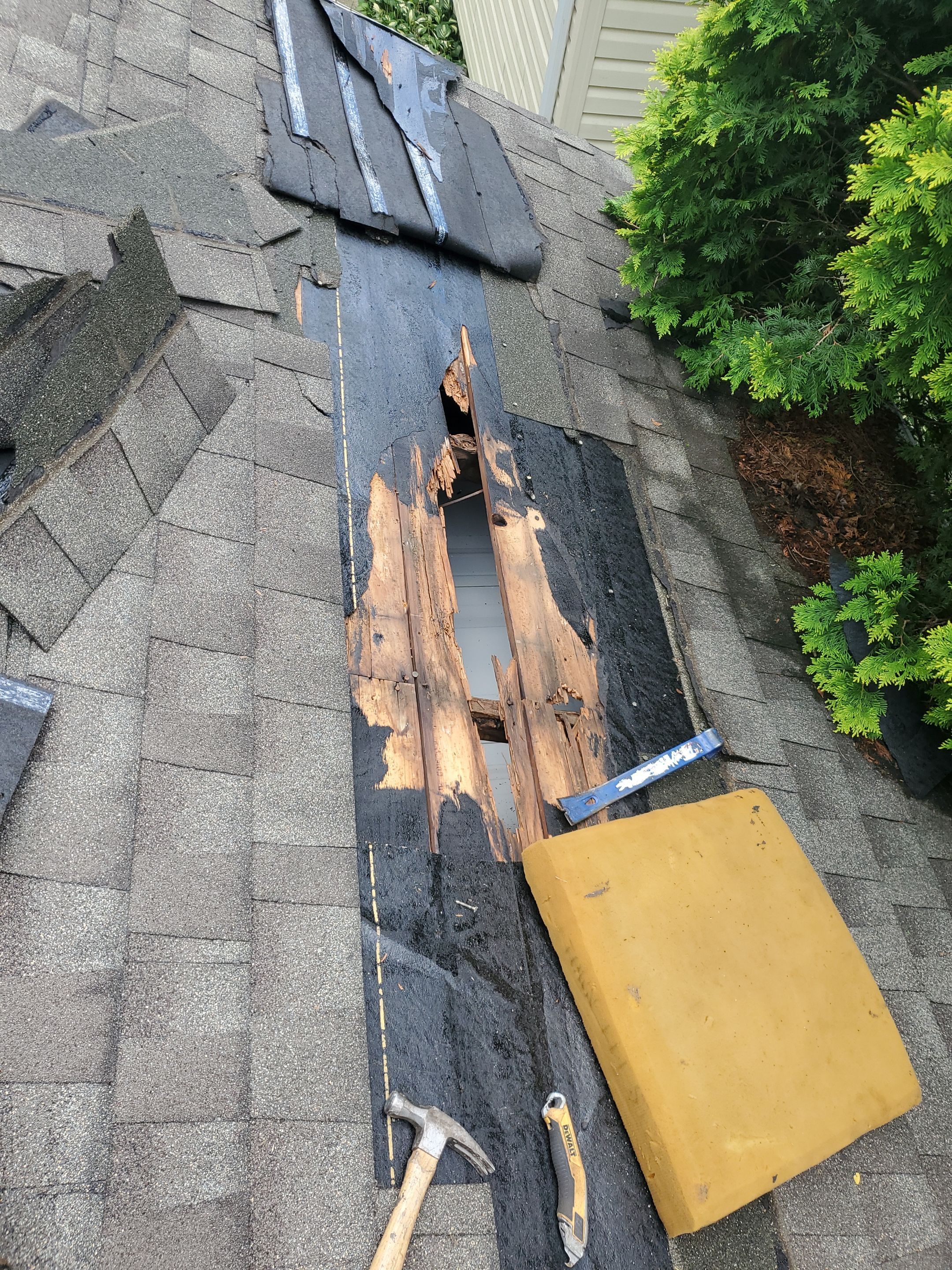 Jean-Guy Ricard - 1359 Dewitt by Silver Leaf Contracting 