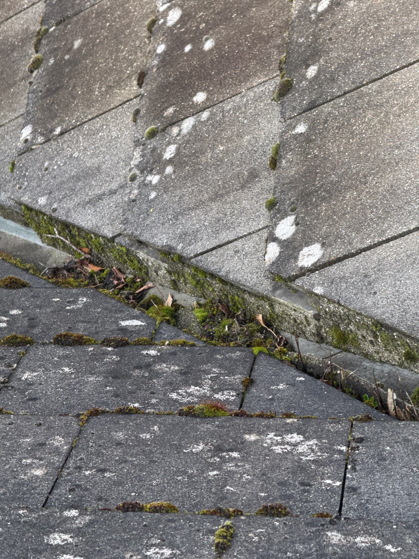 Care Home Roof and Walk Ways clean by Ges Exterior Cleaning ltd
