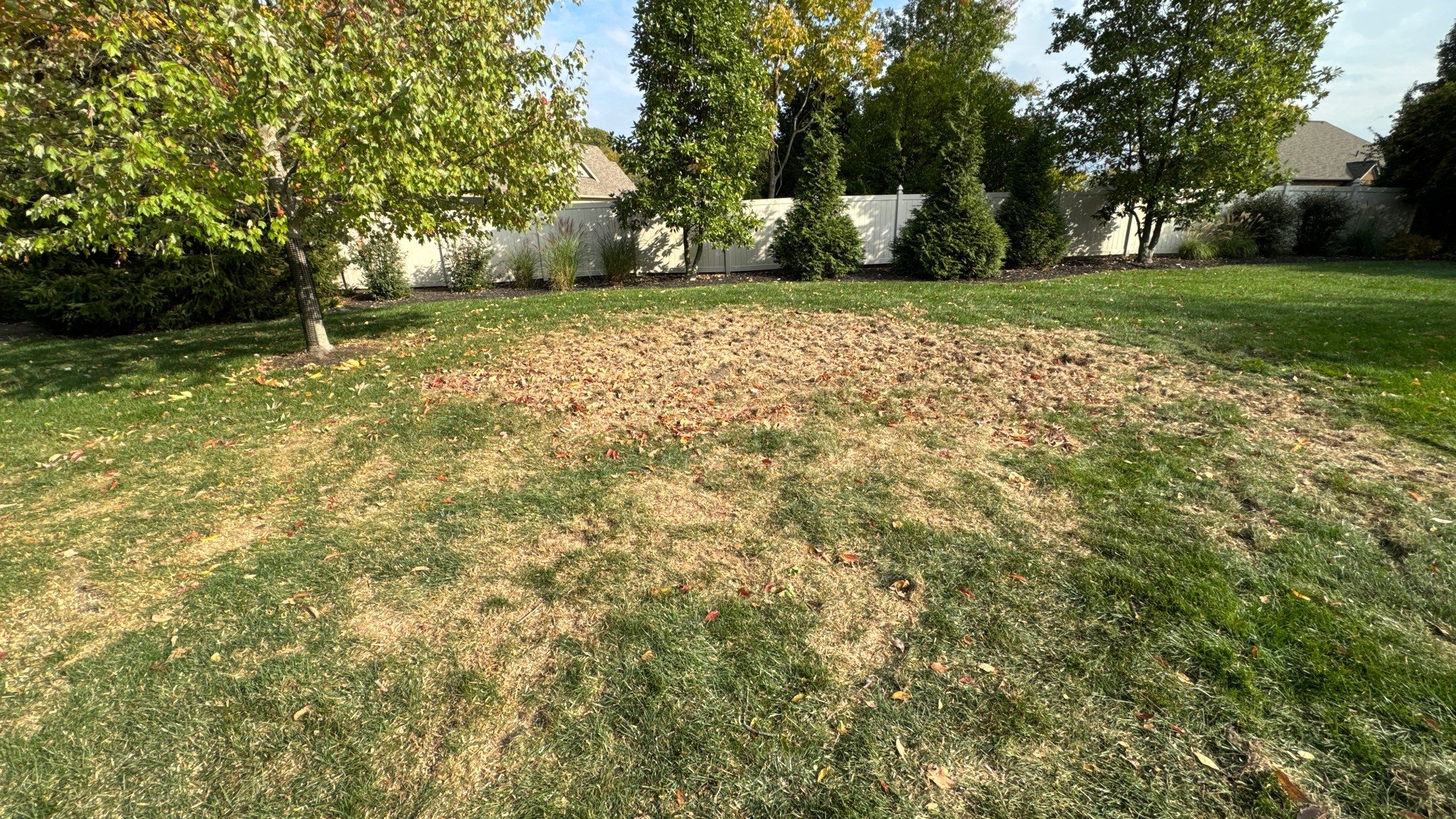 Turf Restoration using LEED Certified Sod by Reisenberg’s Lawn & Landscape, LLC