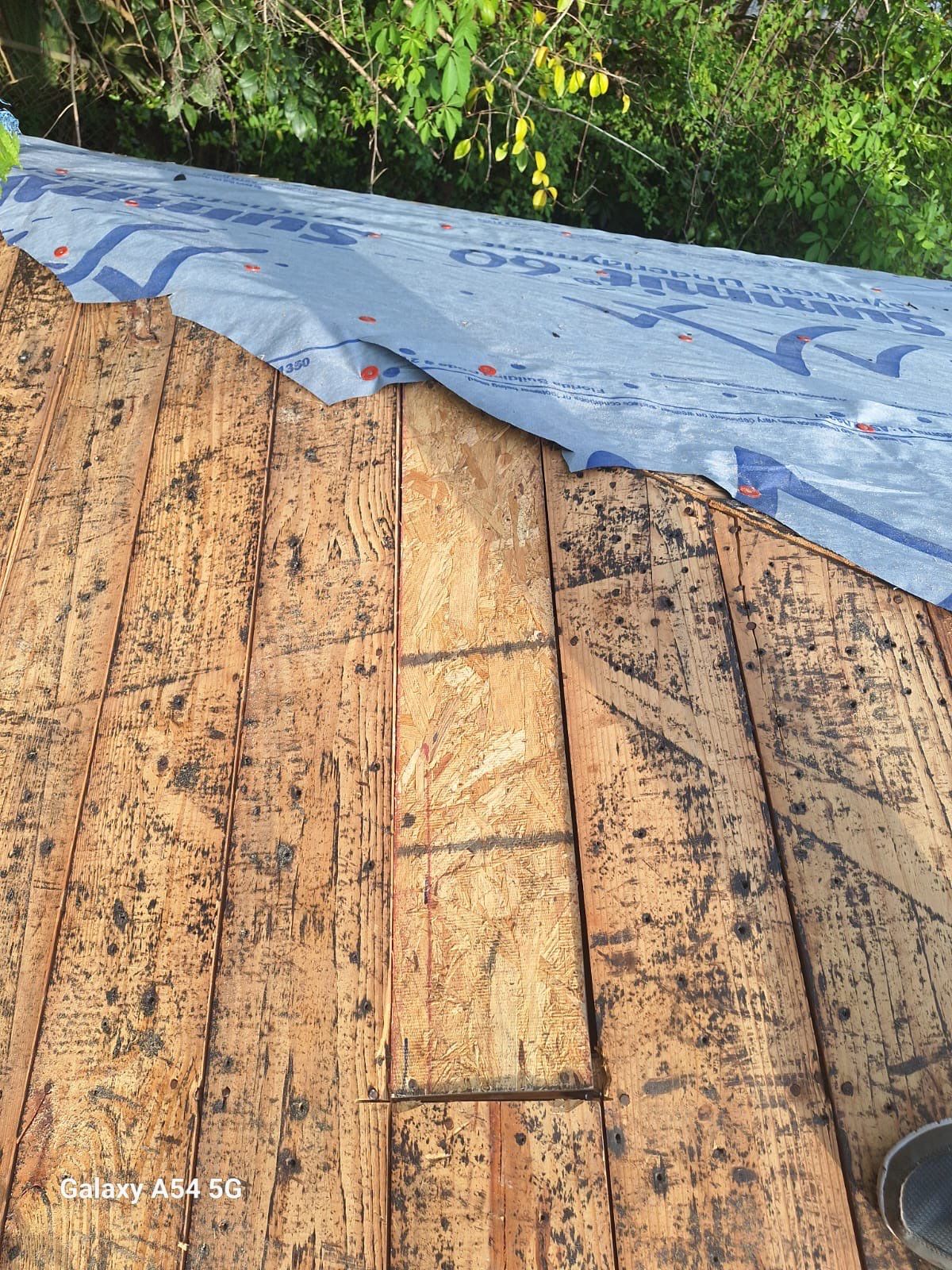 Superior Roofing Solutions: Atlas Pinnacle Pristine Installation by Talya Roofing