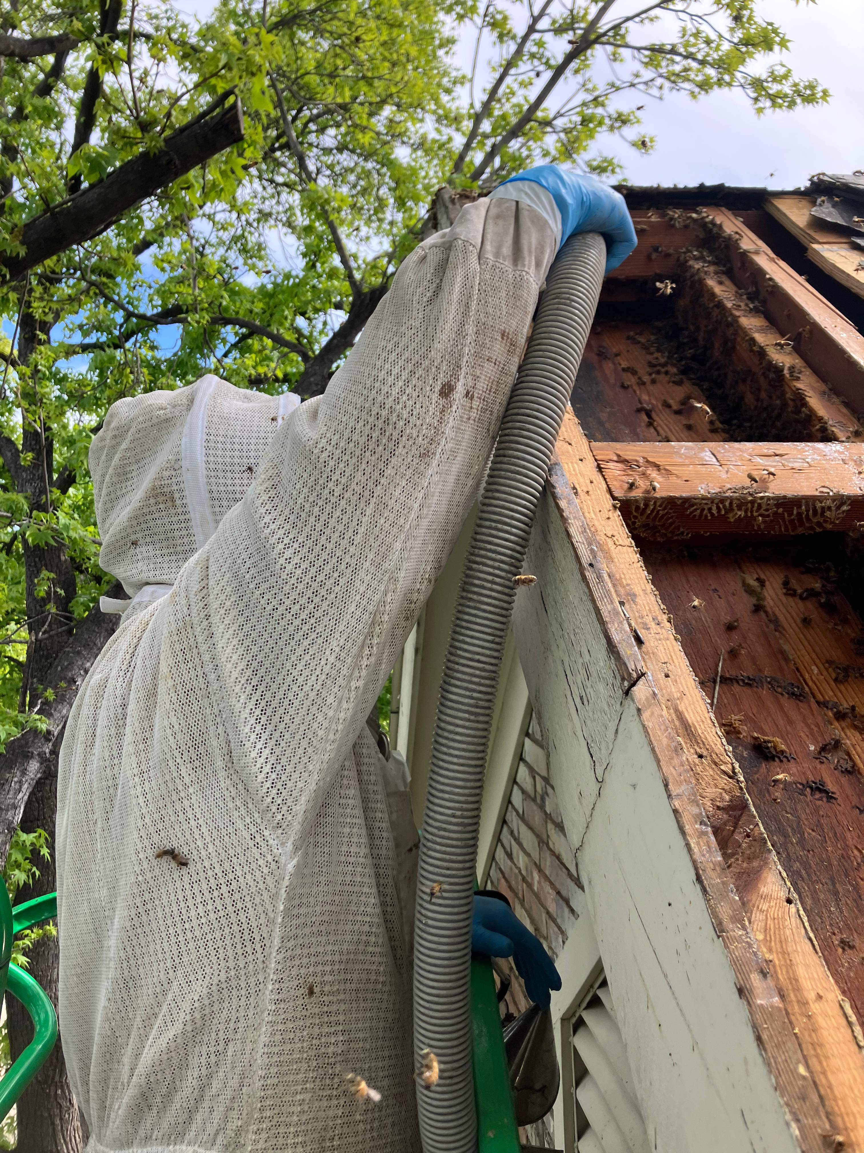 Commercial Roof by Rockwall Honey Bee Company