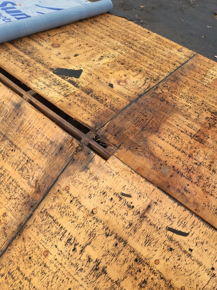 ATLAS PINNACLE COLOR: PRISTINE SCOTCHGARD WEATHERED DRIP EDGE: MUSKET BROWN by Eagle Eye Roofing