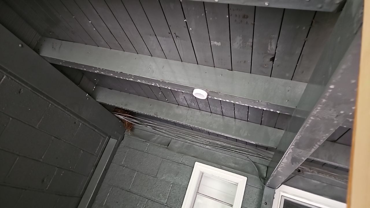 Windsor Blvd - Deck Installation by Pillar and Pine