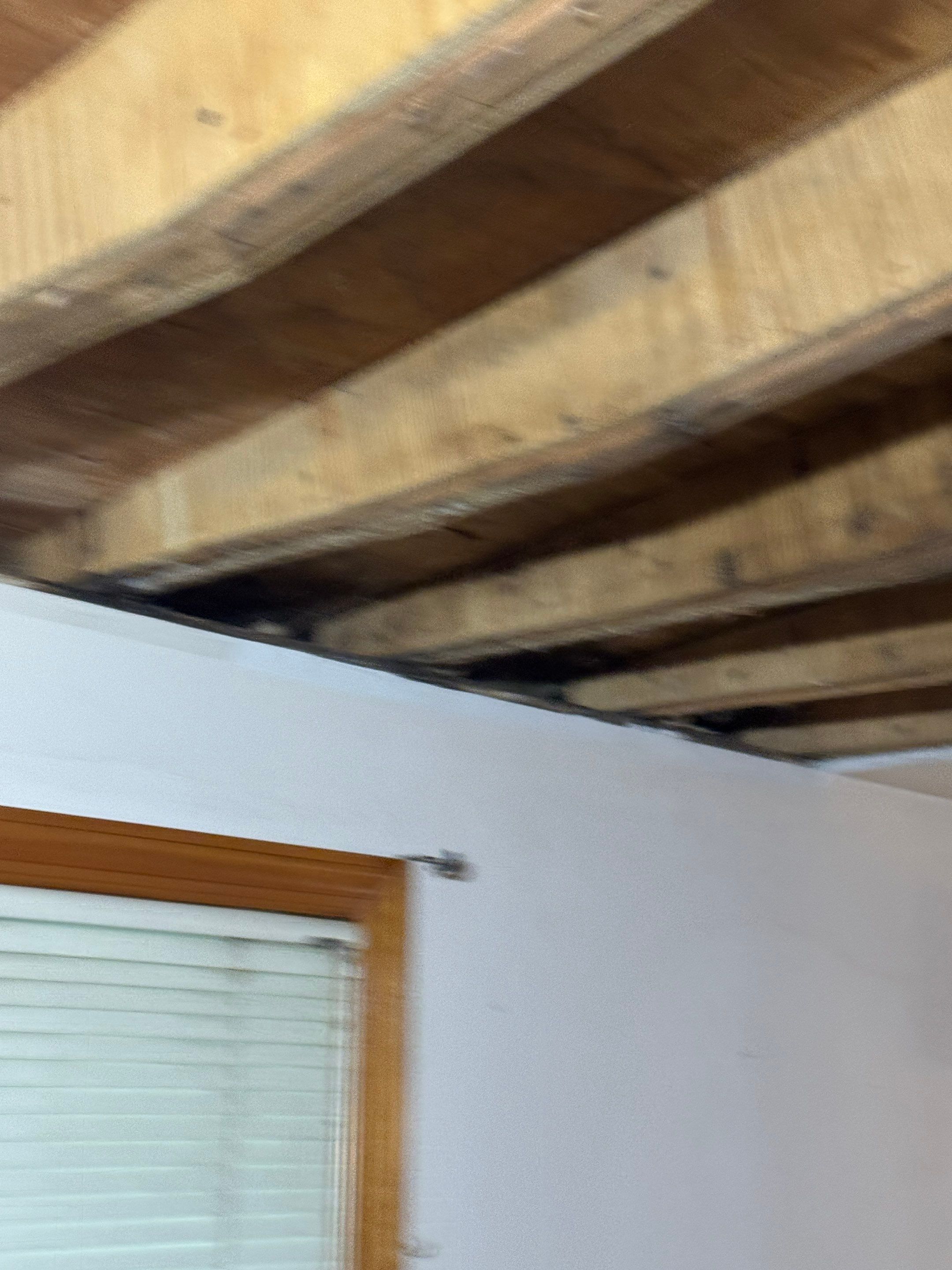 Water Damage Claim in Doylestown by FLAPA & KeyStone
