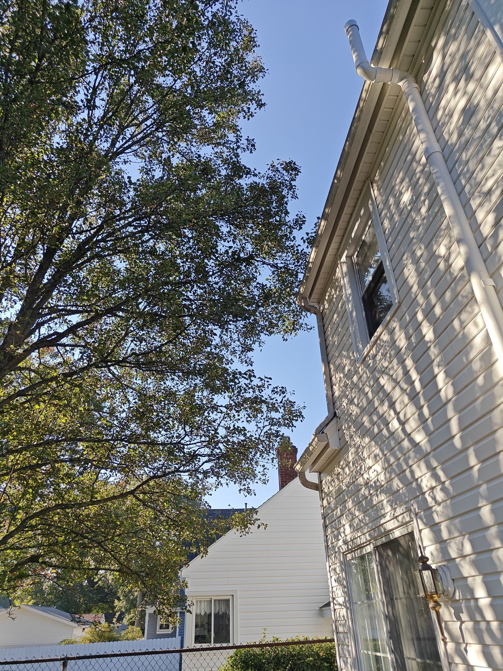 Tree Trimming using Tree Pruing by Mike Jones & Sons Tree Service LLC 