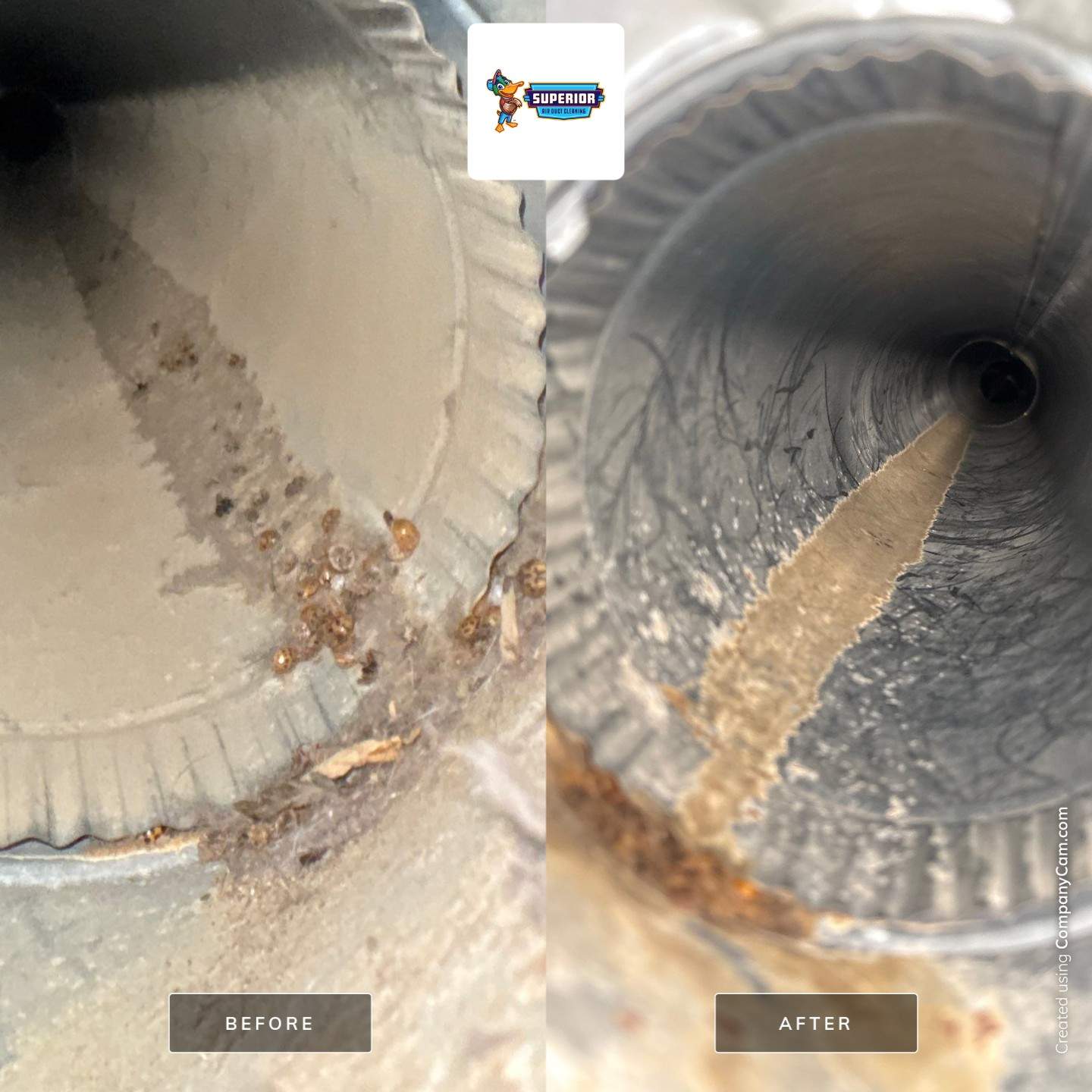 Air Duct Cleaning in Richmond, OH by Superior Air Duct Cleaning