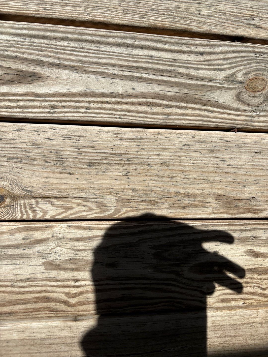 Weathered Deck using Wood Sealant by DuraSeal