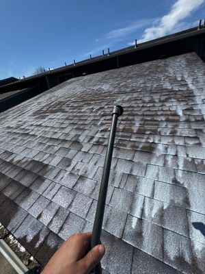 Project in Grants Pass