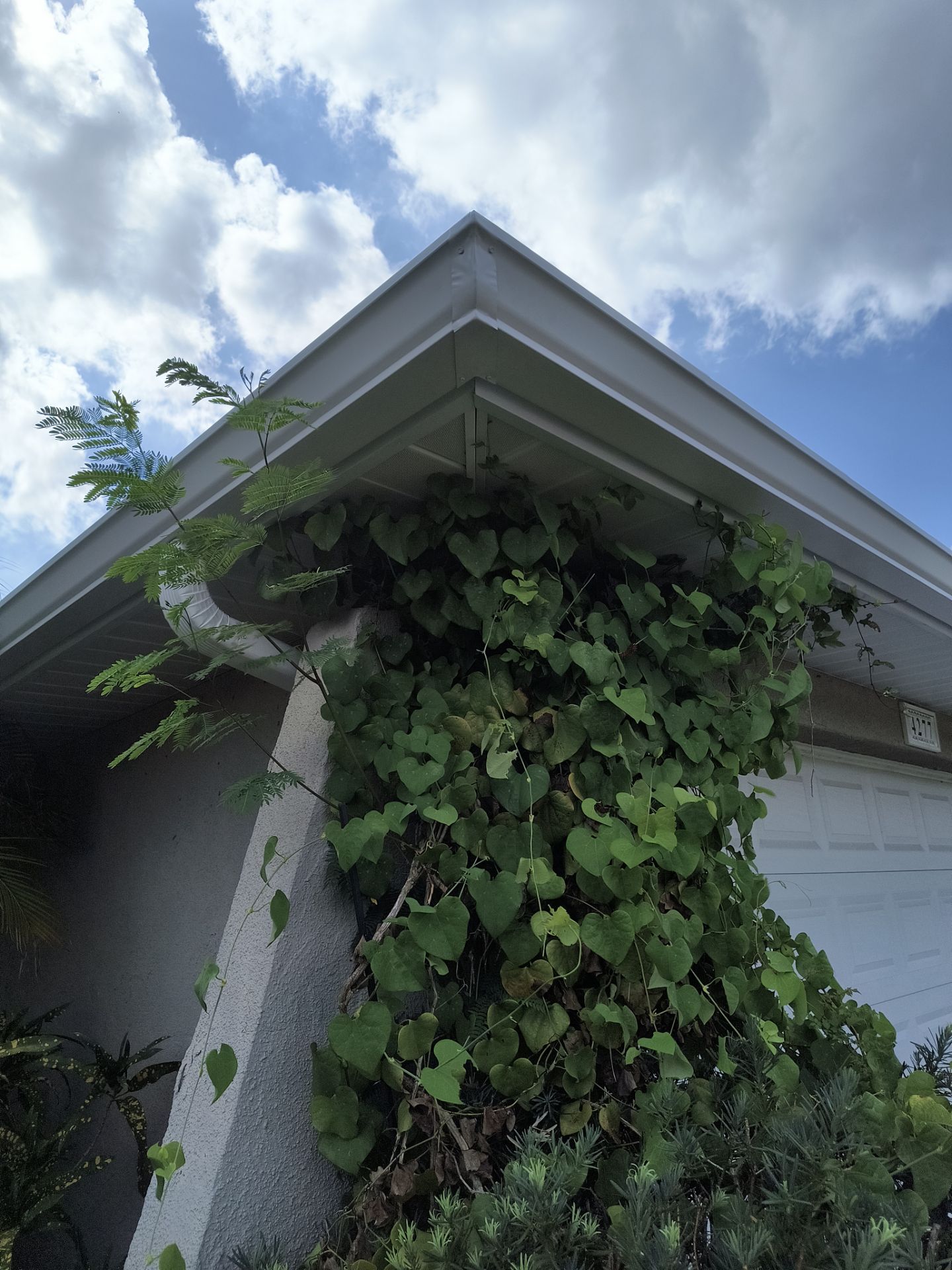 White 6-Inch Seamless Gutters in Sarasota FL by Gutter Professors