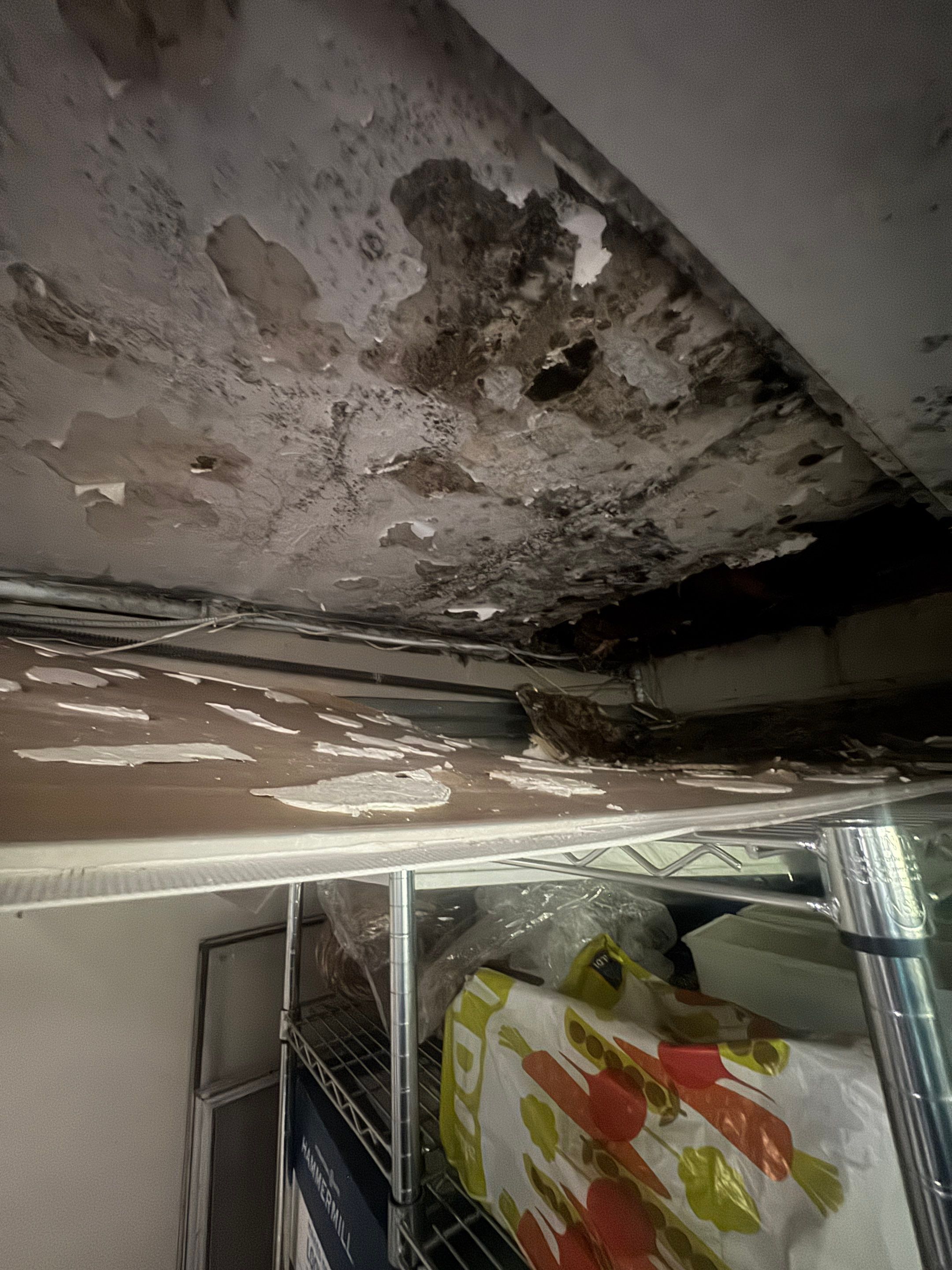 Water Damage Claim in Denville by FLAPA & KeyStone
