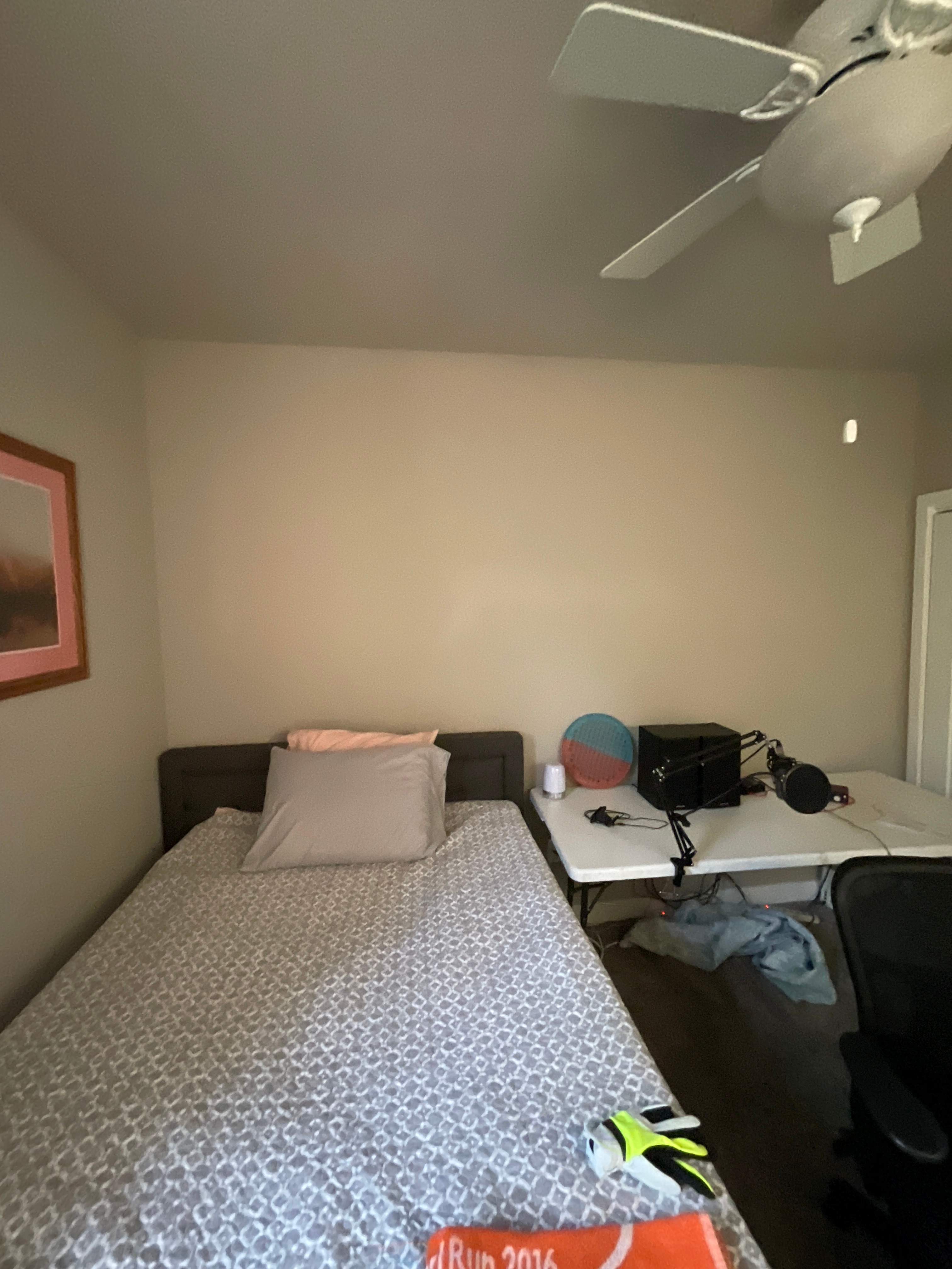 Interior Painting using Benjamin Moore Regal Select by The Persnickety Painters
