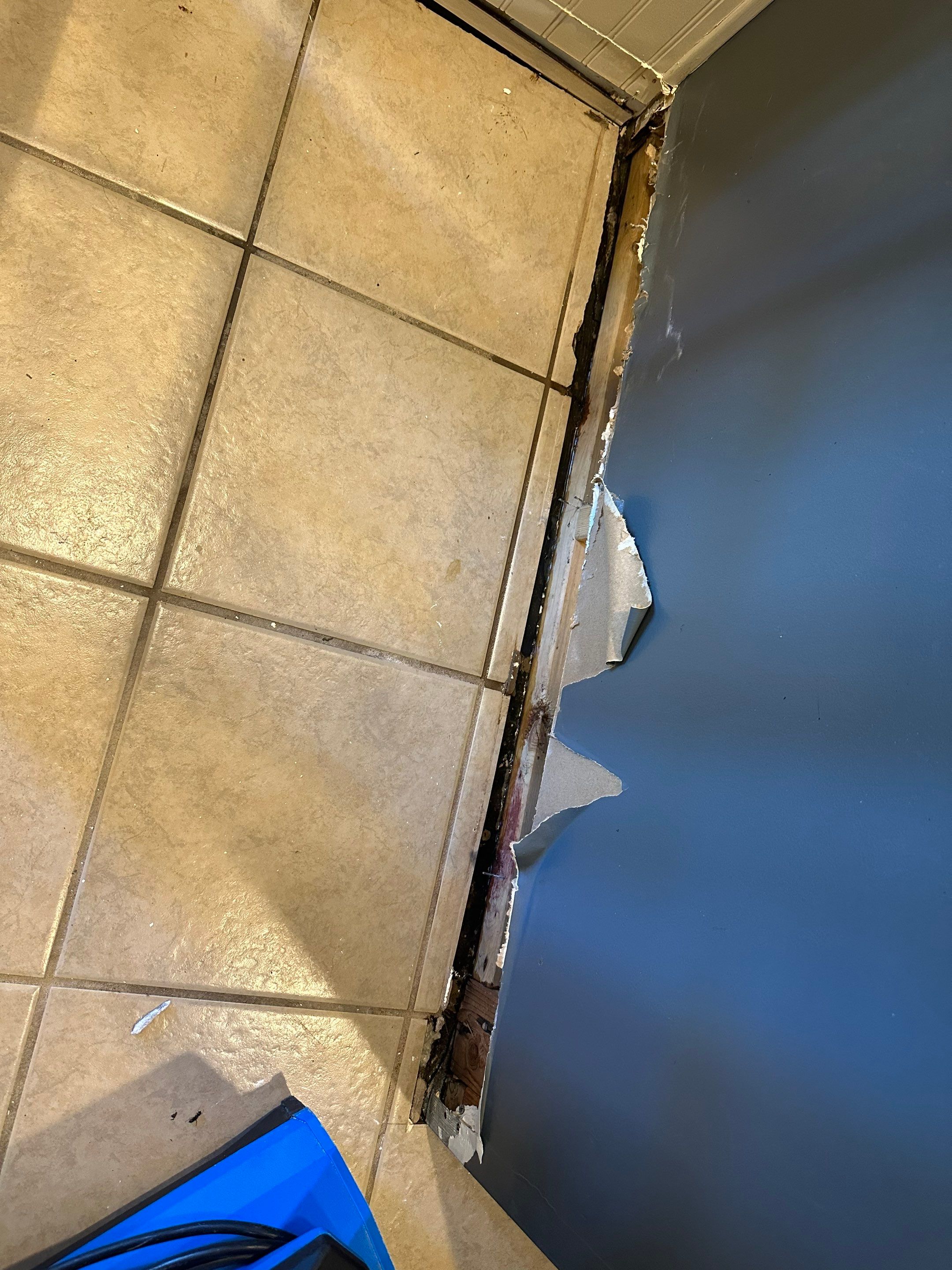 Emergency Service Water Mitigation Using Air Movers and Dehumidifiers by ANR Restoration