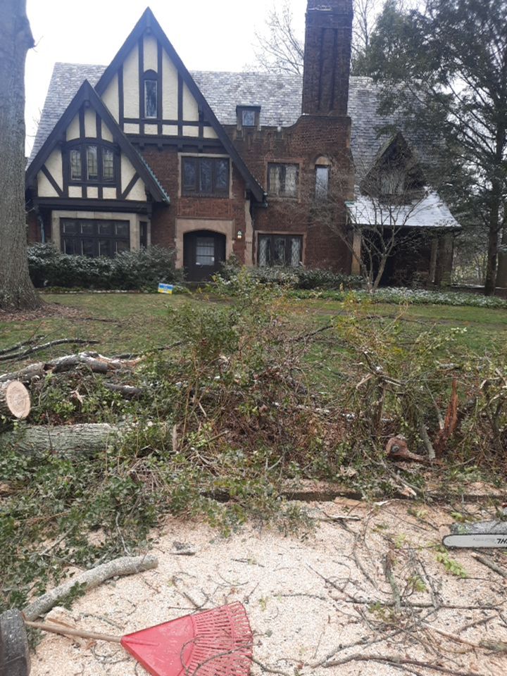 Tree Removal using Tree Removal by Mike Jones & Sons Tree Service LLC 