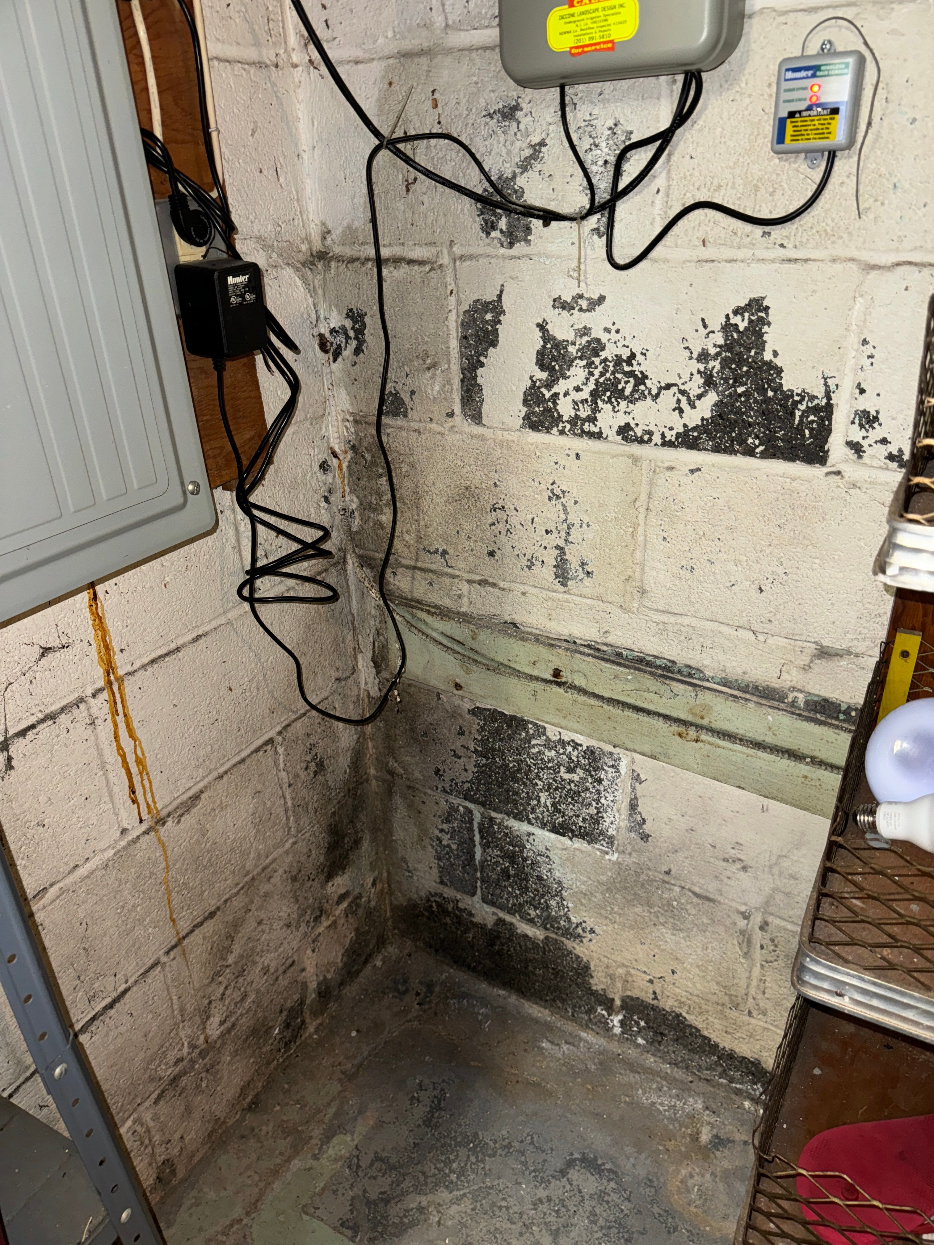 Basement Waterproofing River Edge NJ by Pure Service Pro, LLC 