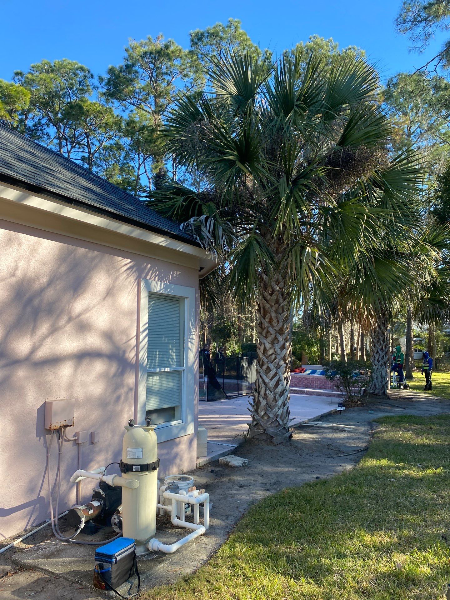Deerwood Resident | Tree Removal & Clean-Up by ProGreen Services