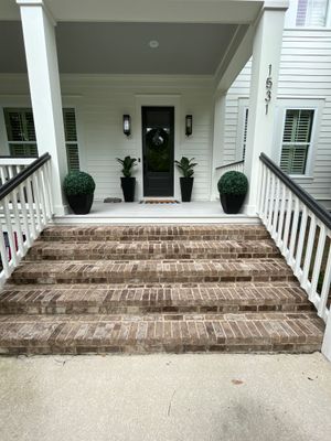 Mold Investigation