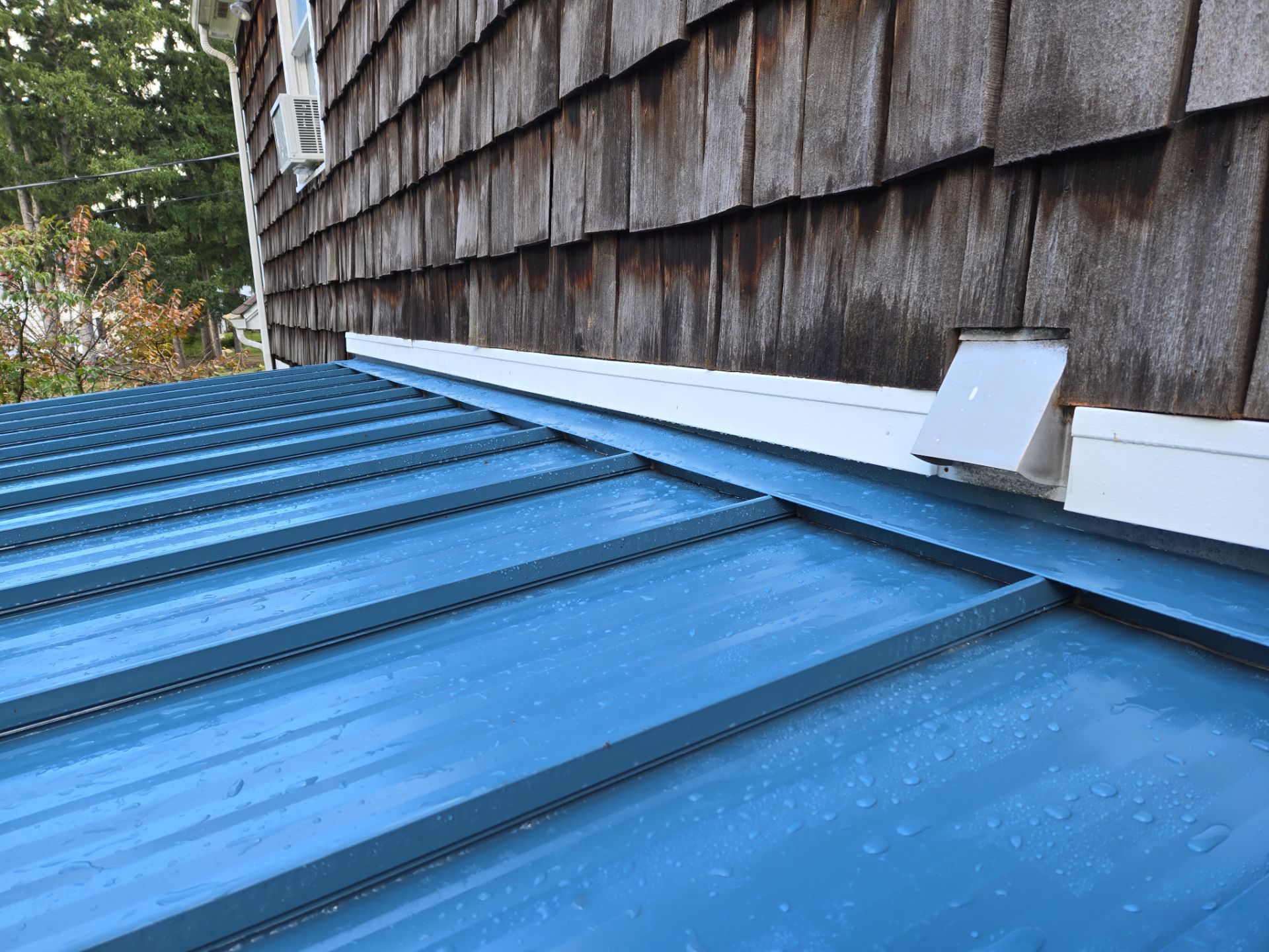 Addition, Exterior Siding, & Windows by Ivy Lea Construction