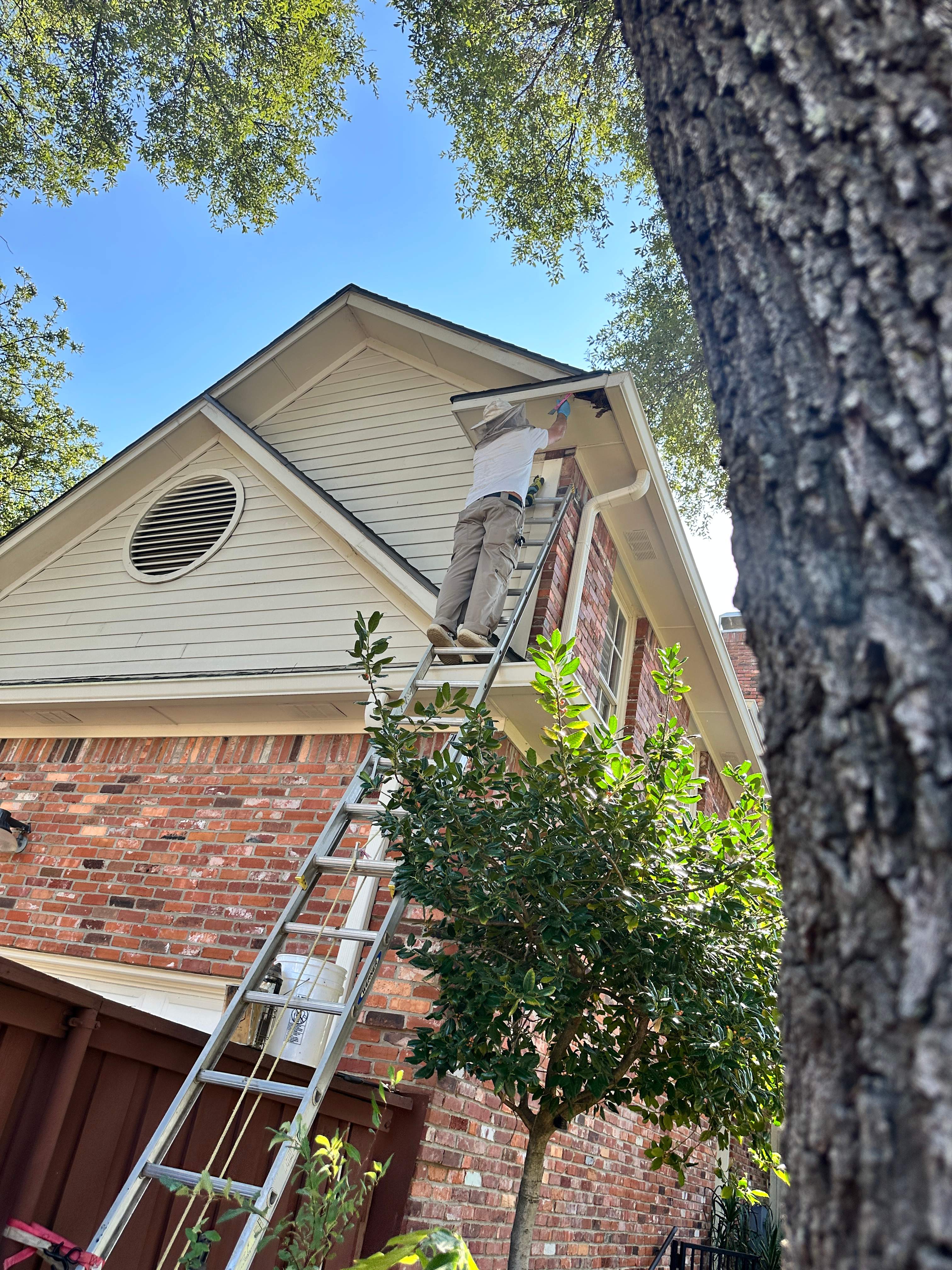 Last of 2025 by Rockwall Honey Bee Company