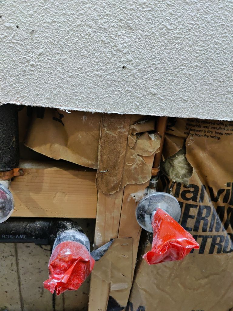 Mold Remediation by Accountable Home Services