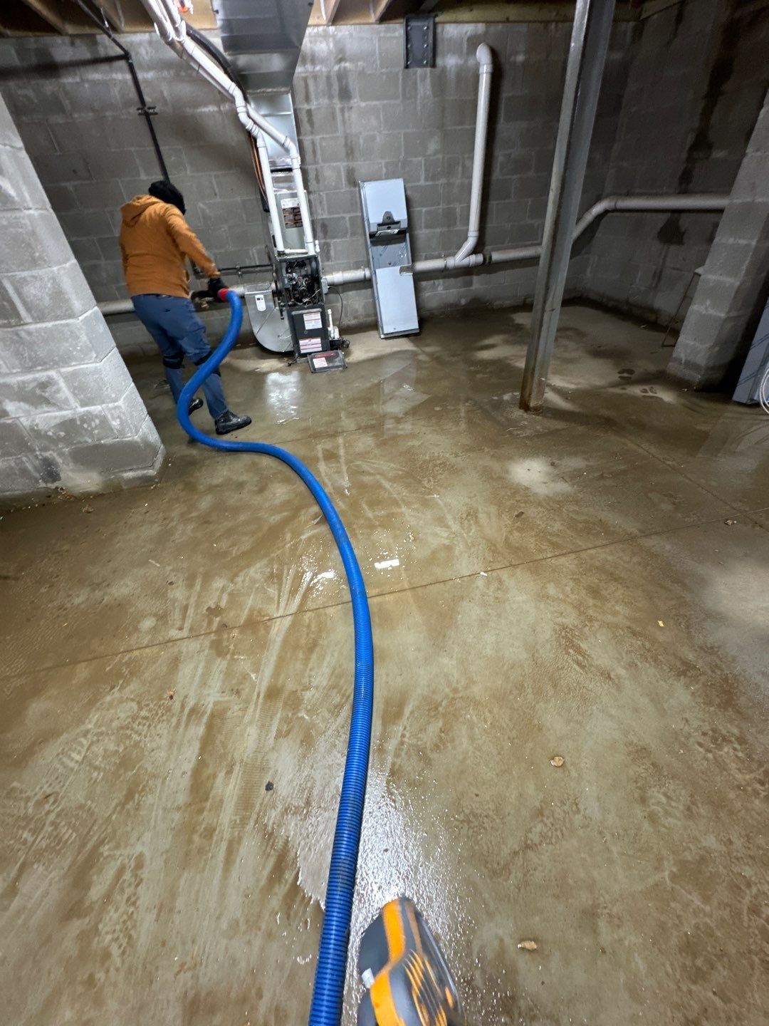 Project in Royal Oak by EzDry Water Mitigation & Property Restoration