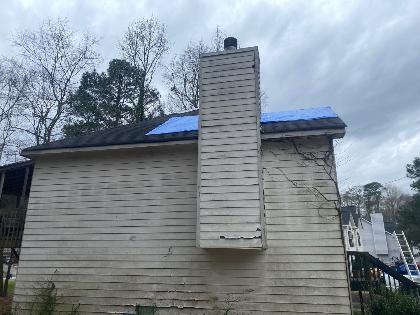 Rotten Wood by Roof Bullies