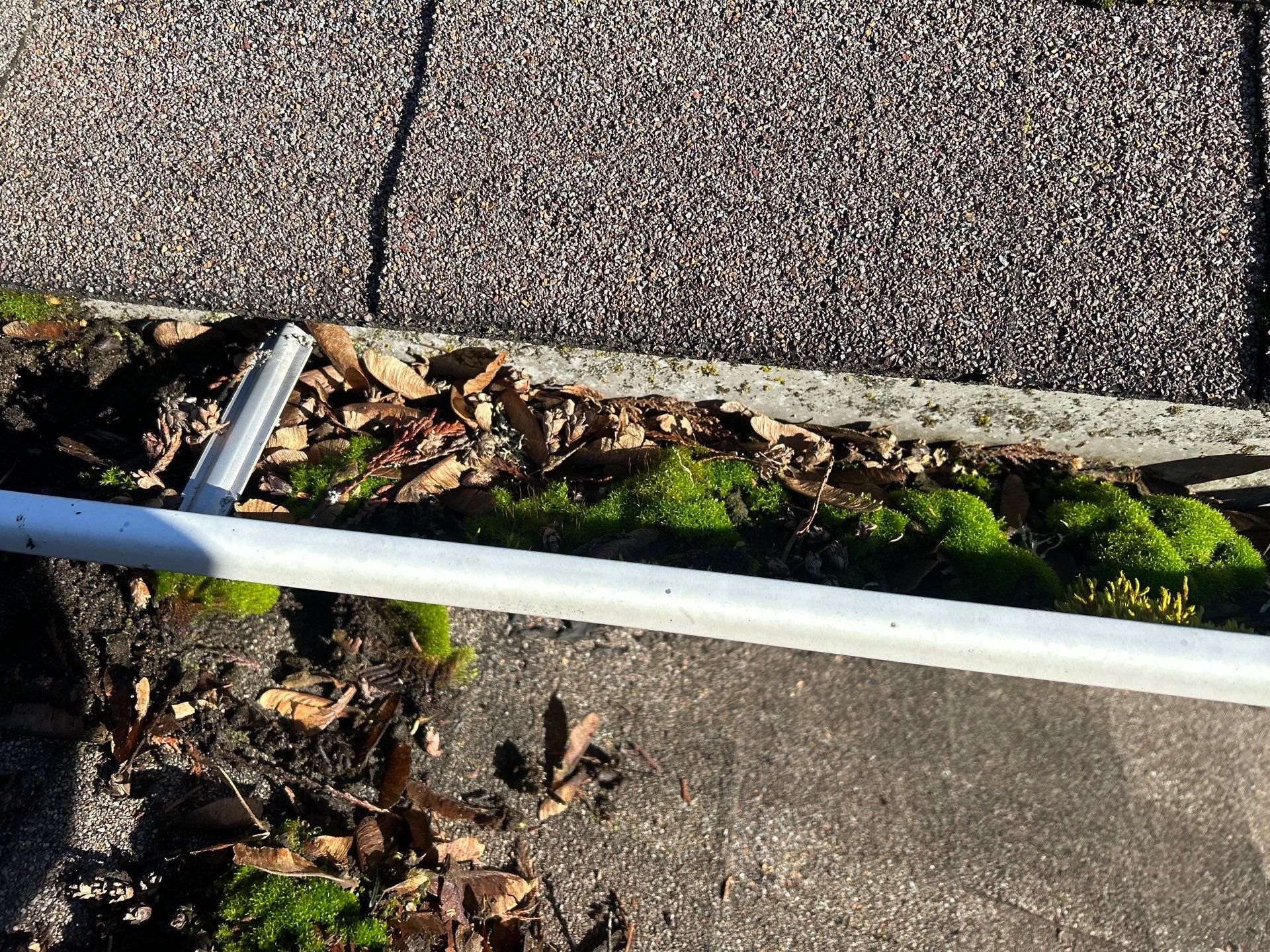 Project in Mount Vernon by Connolly Construction Company