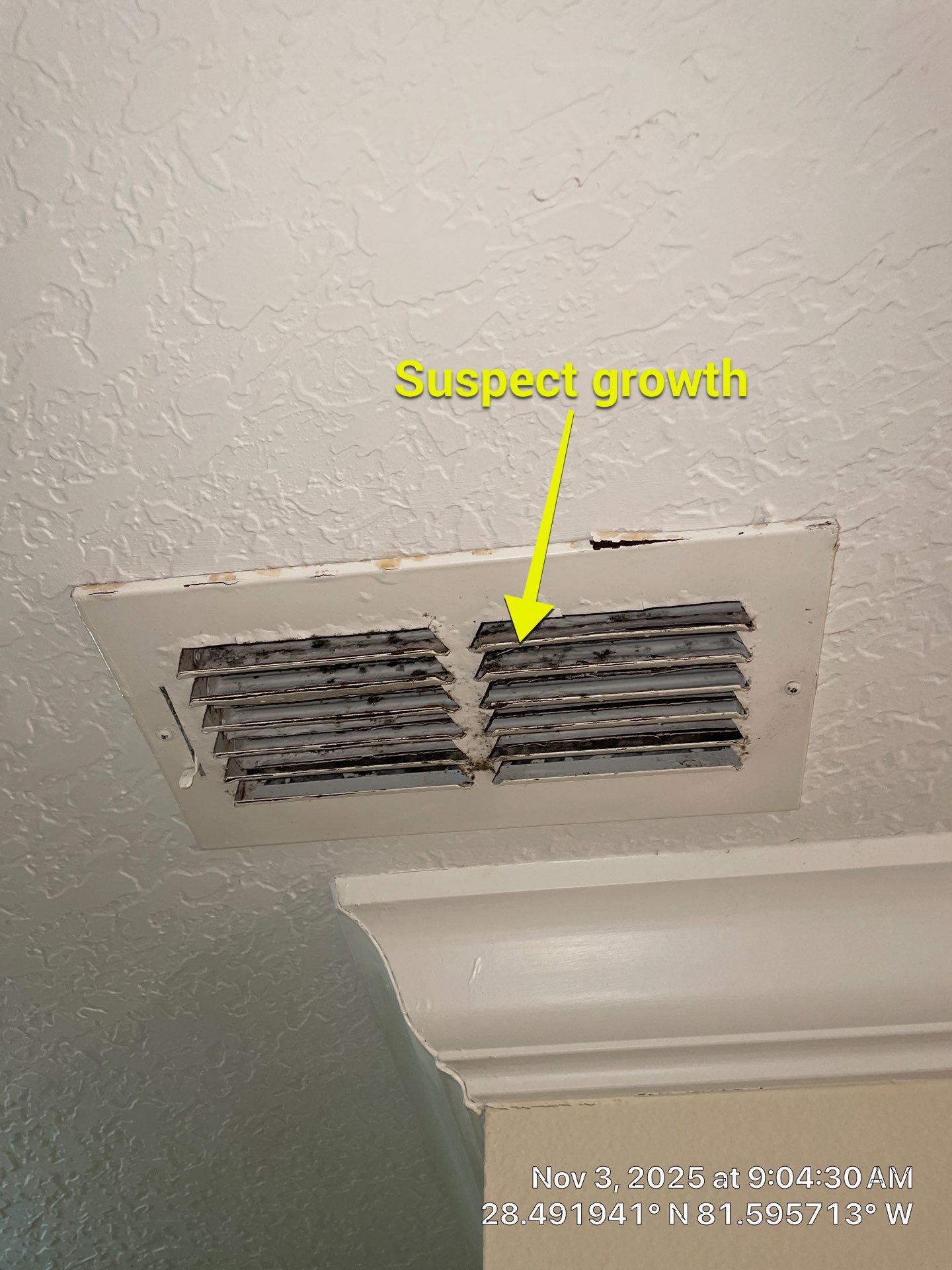 Air Duct Cleaning in Windermere by Hygienic Air, Inc