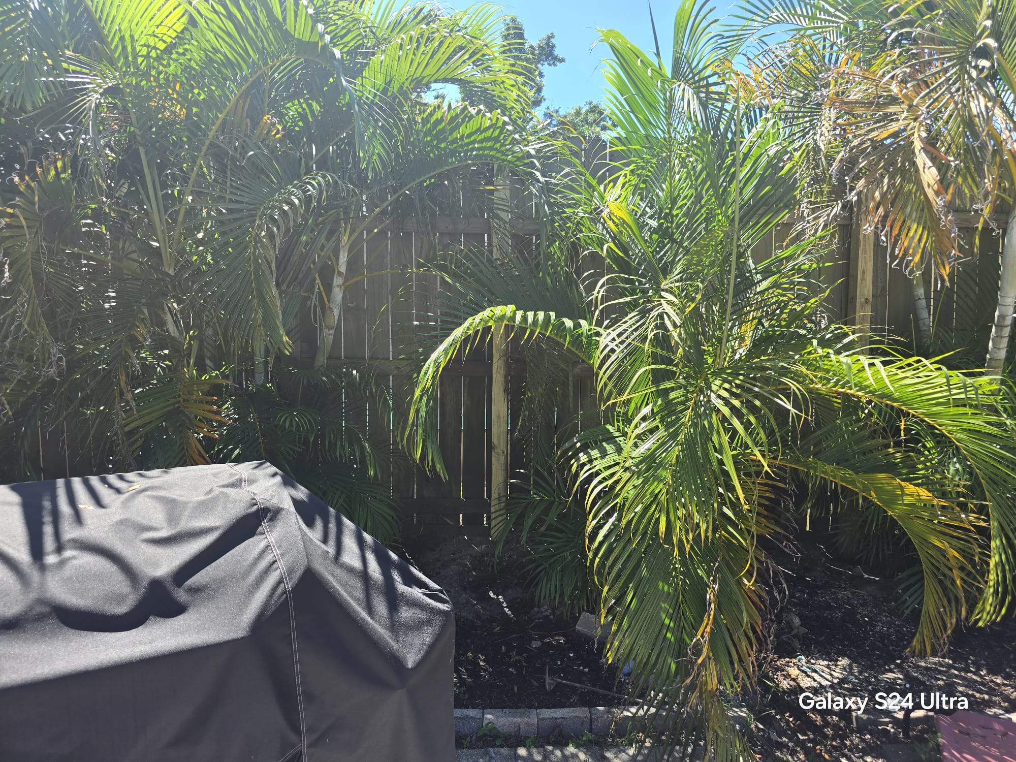 Residential Wood Privacy and Chain Link Fence Installation in Sarasota by True Fence LLC