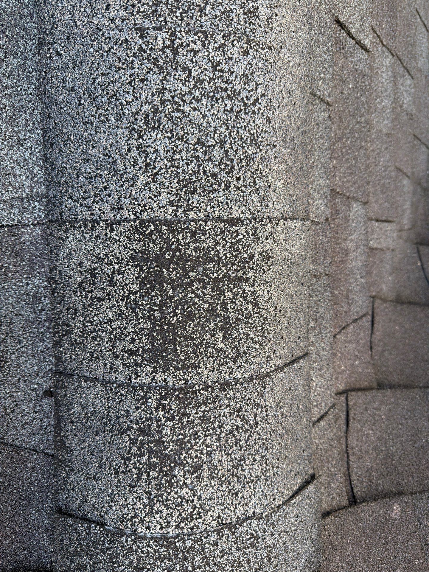 The Wilkins by United Contracting and Roofing