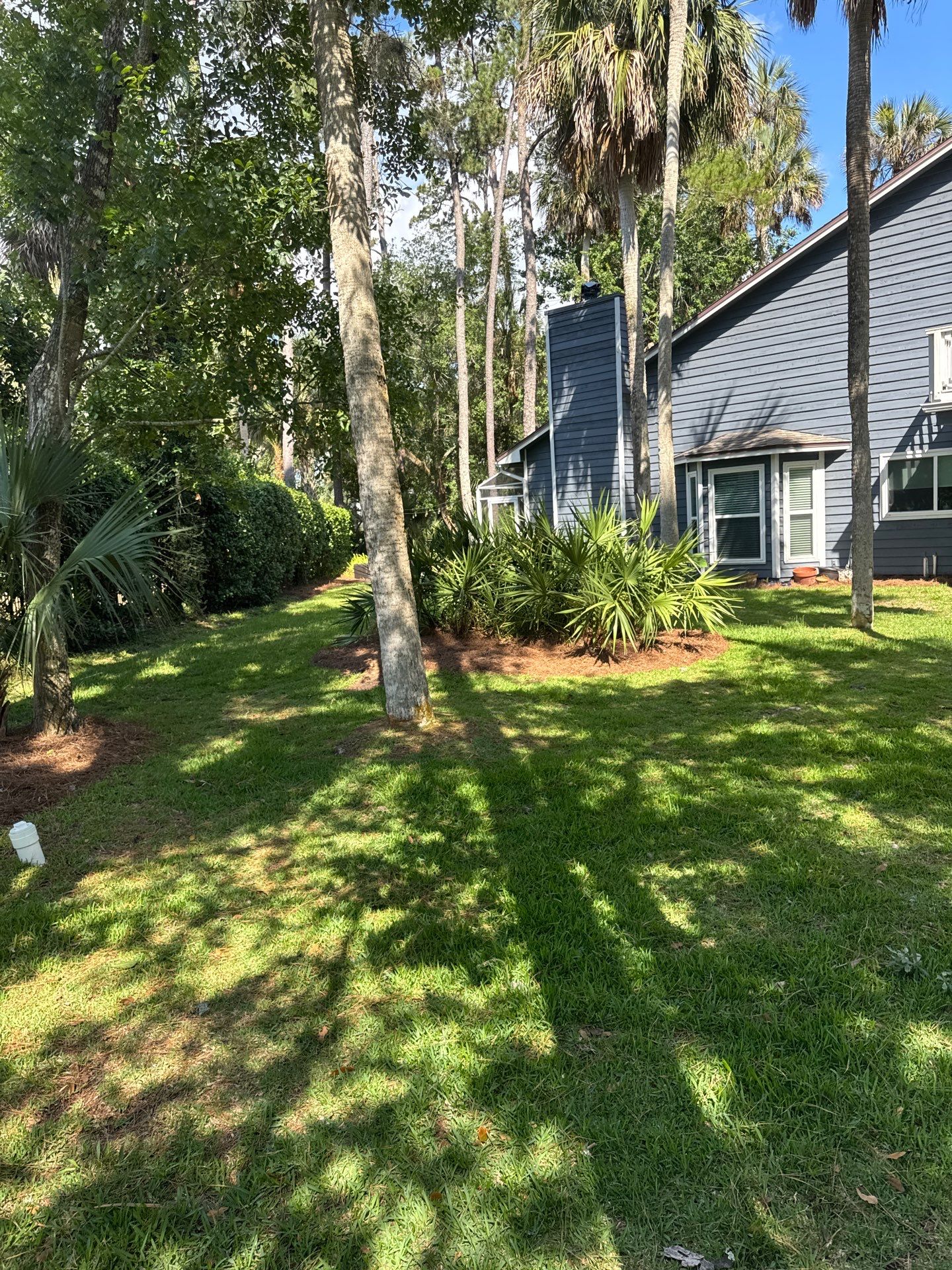 Residential | Pine Straw Install by ProGreen Services