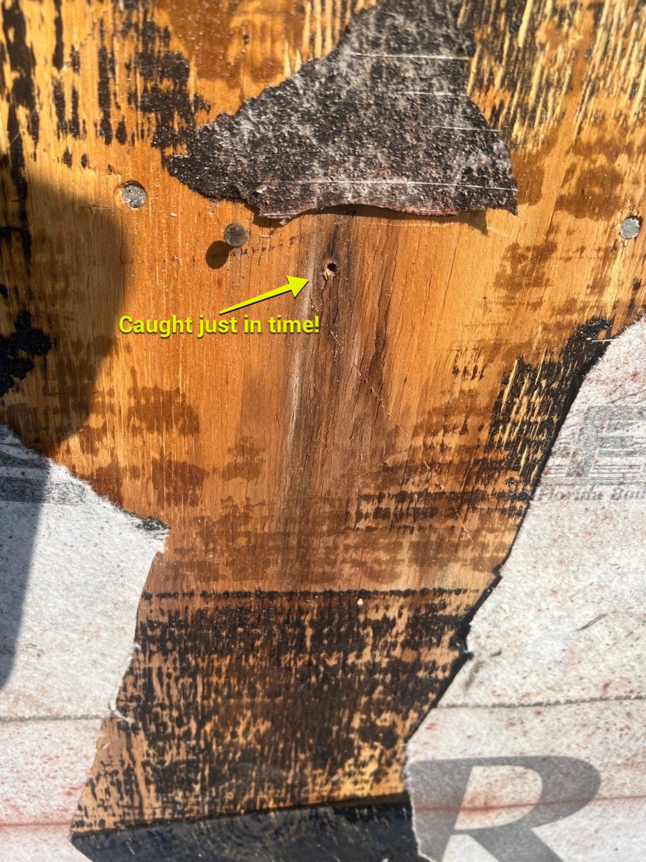 Leak Repair  by Durabilis Roofing INC