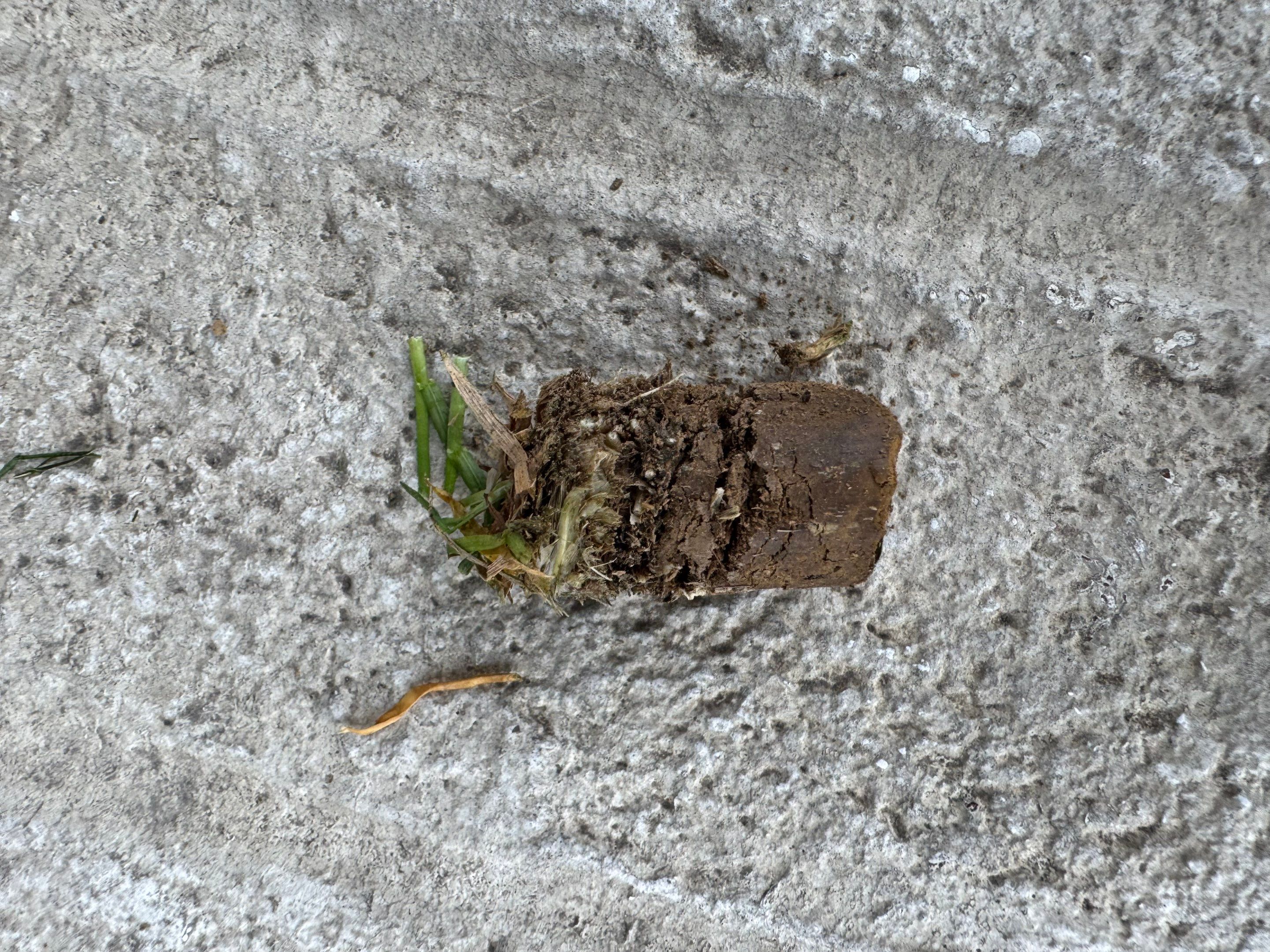 Red Lion Pa by Go Green CLC