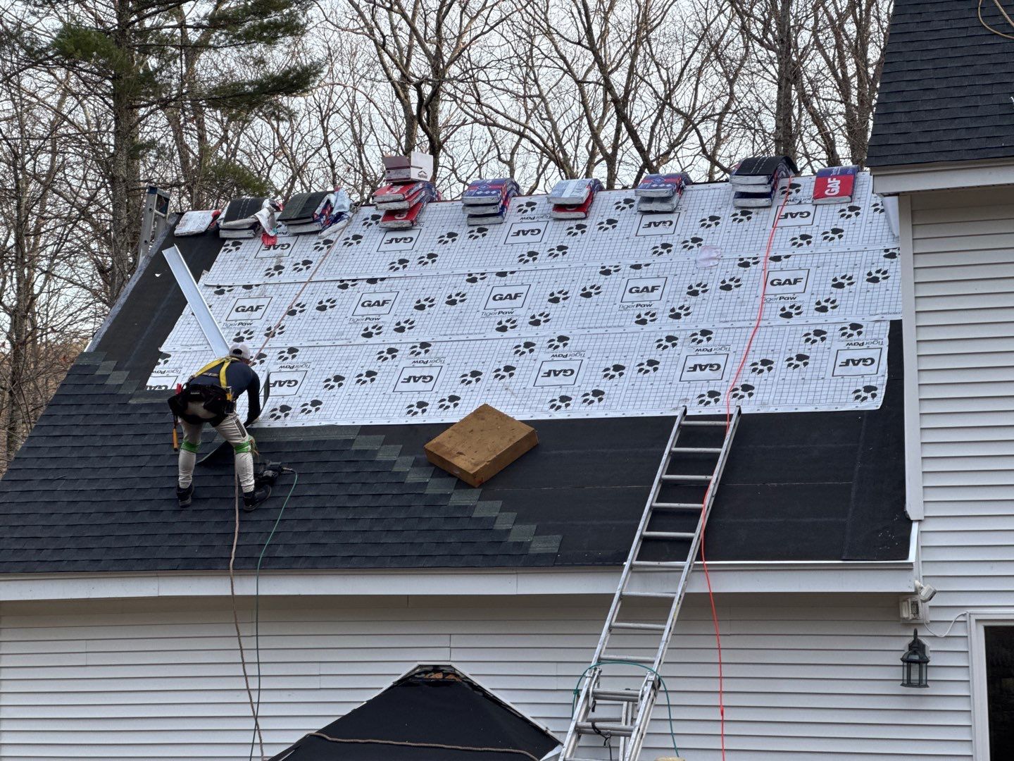 "Fresh Start Roofing: Transforming a Mold-Affected Home with a New Roof & Sleek Gutters!" by Sensible Home Solutions