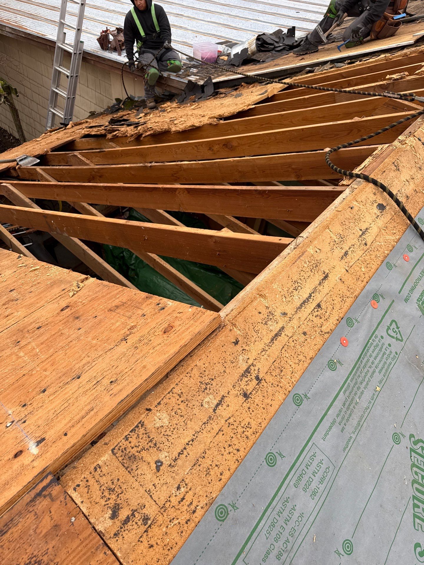 Project in Philomath by Alamo Roofing