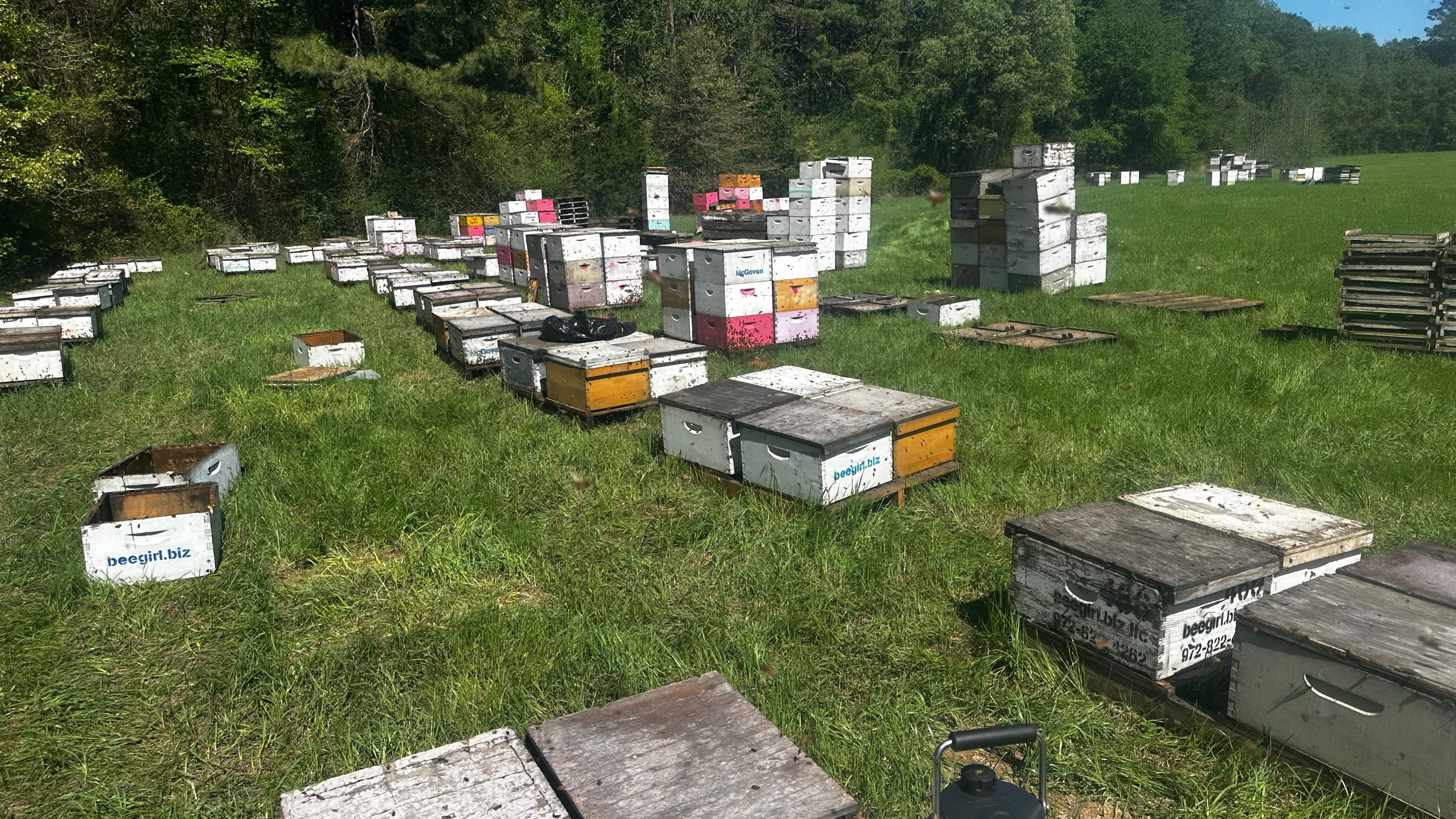 Traylor's Hay Meadow Apiary by Rockwall Honey Bee Company