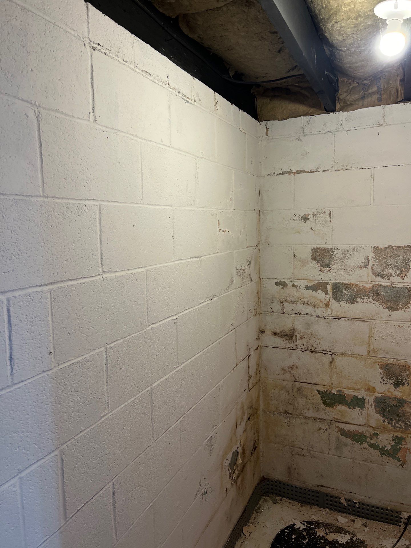 Phoenixville Basement Mold Remediation and Sanitation by Right On Time Restoration