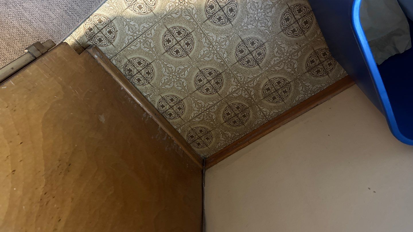 Project in Richmond by NuLead Construction Inc