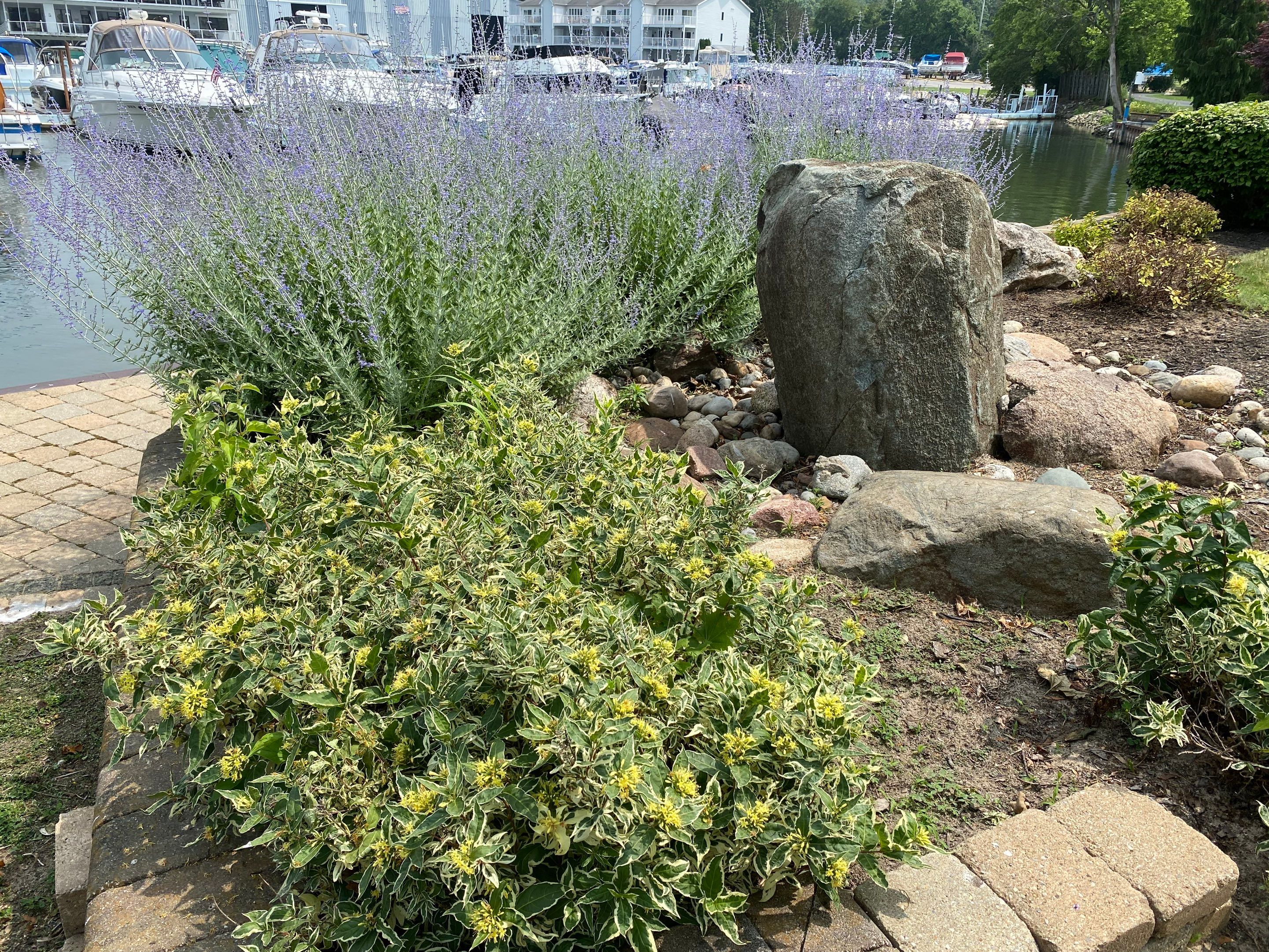 Lake House Maintenance by Elm Rose Gardens