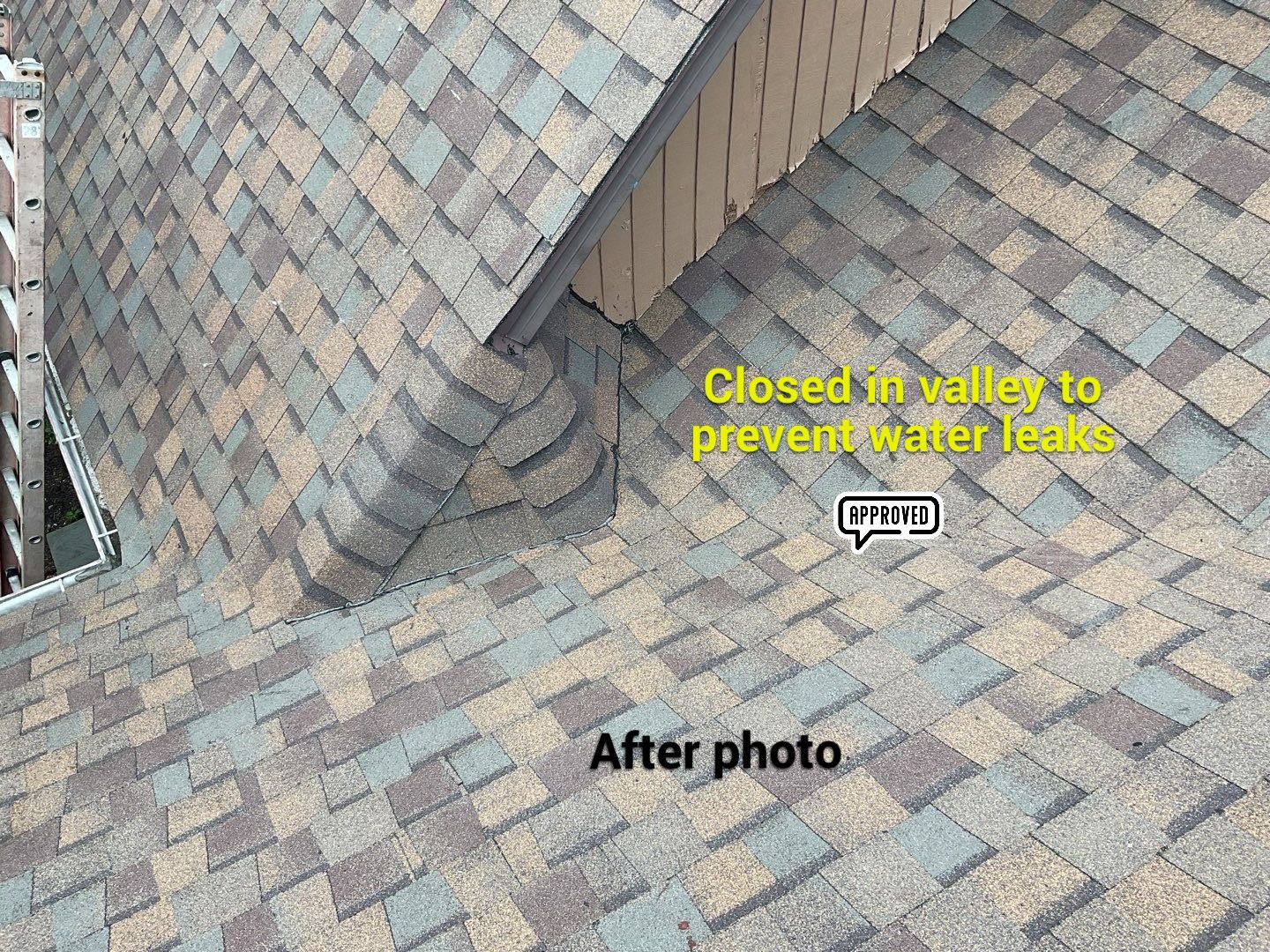 New Shingle Roof, New Skylights, New Windows, Repair T-1 11 panels by Alpha Design Services