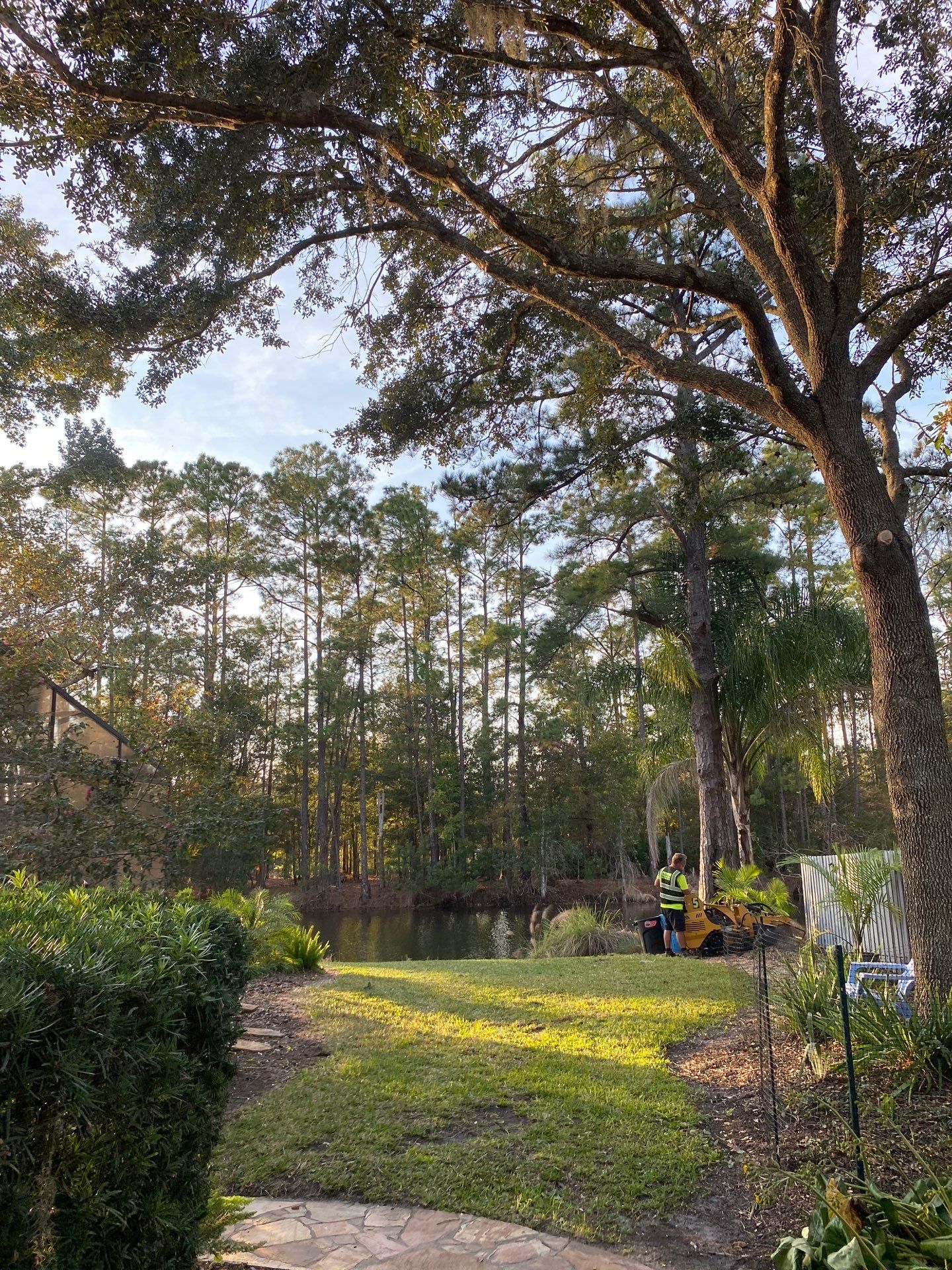 Deerwood Resident | Tree Trimming & Removal by ProGreen Services