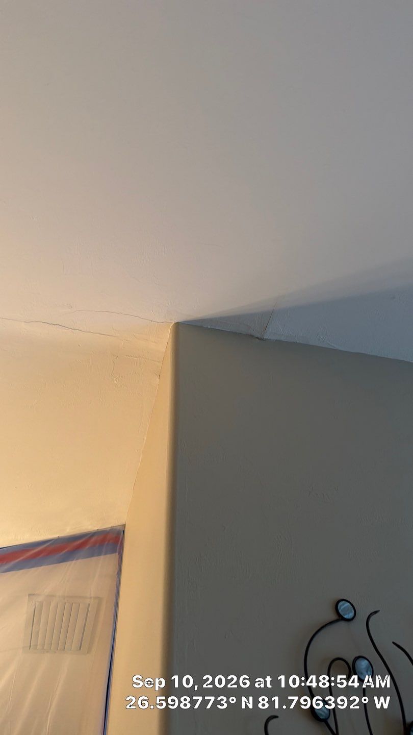 Fort Myers Water Damage Restoration and Professional Mold Remediation by Microscope