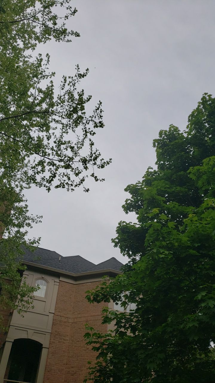 Great Falls: CertainTeed Landmark Pro Designer Shingles in Max Def Moire Black by RM Banning, Inc.