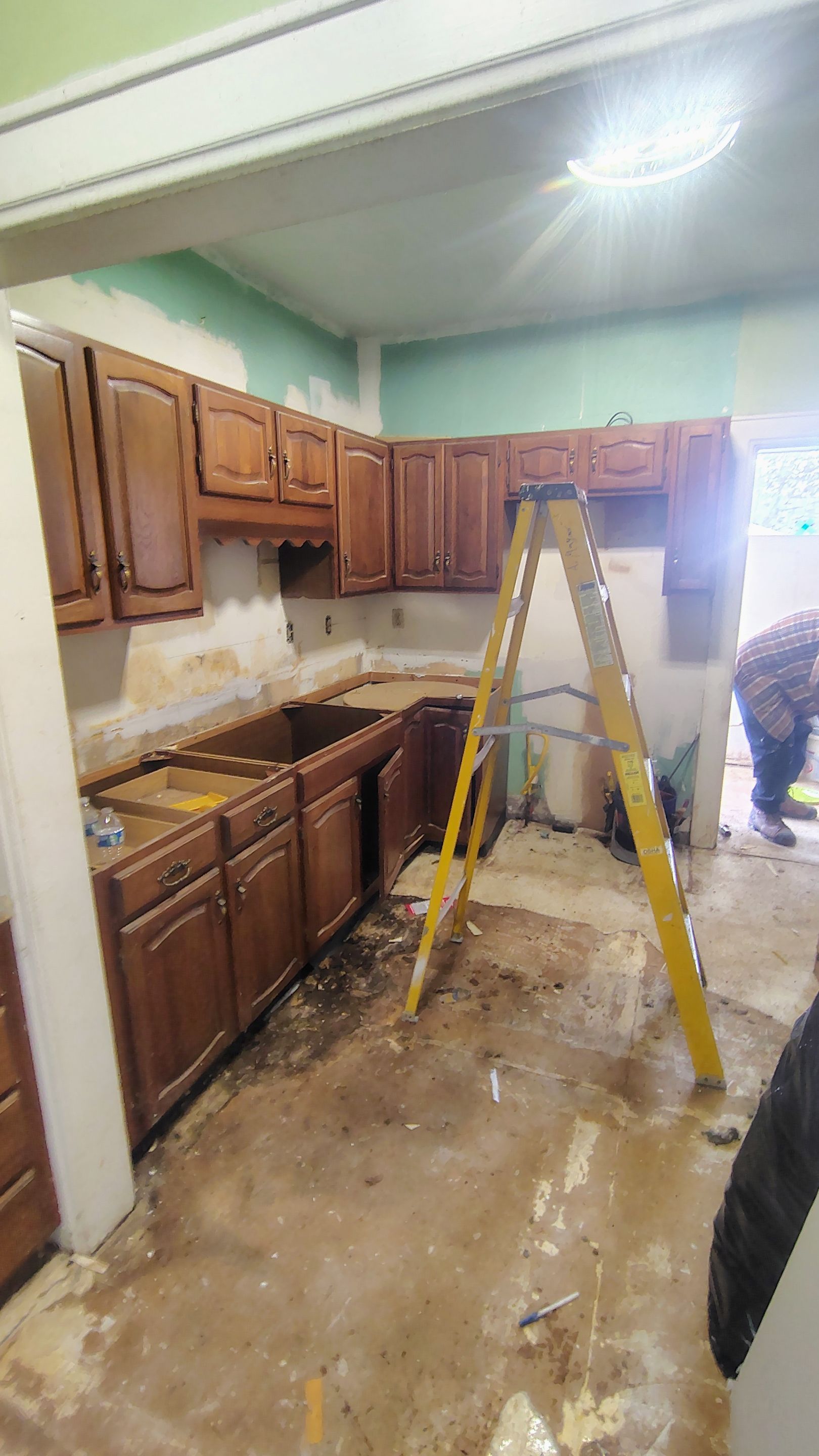 Complete Residential Interior Renovation and Exterior Roof Replacement in Dunbar by MAJO