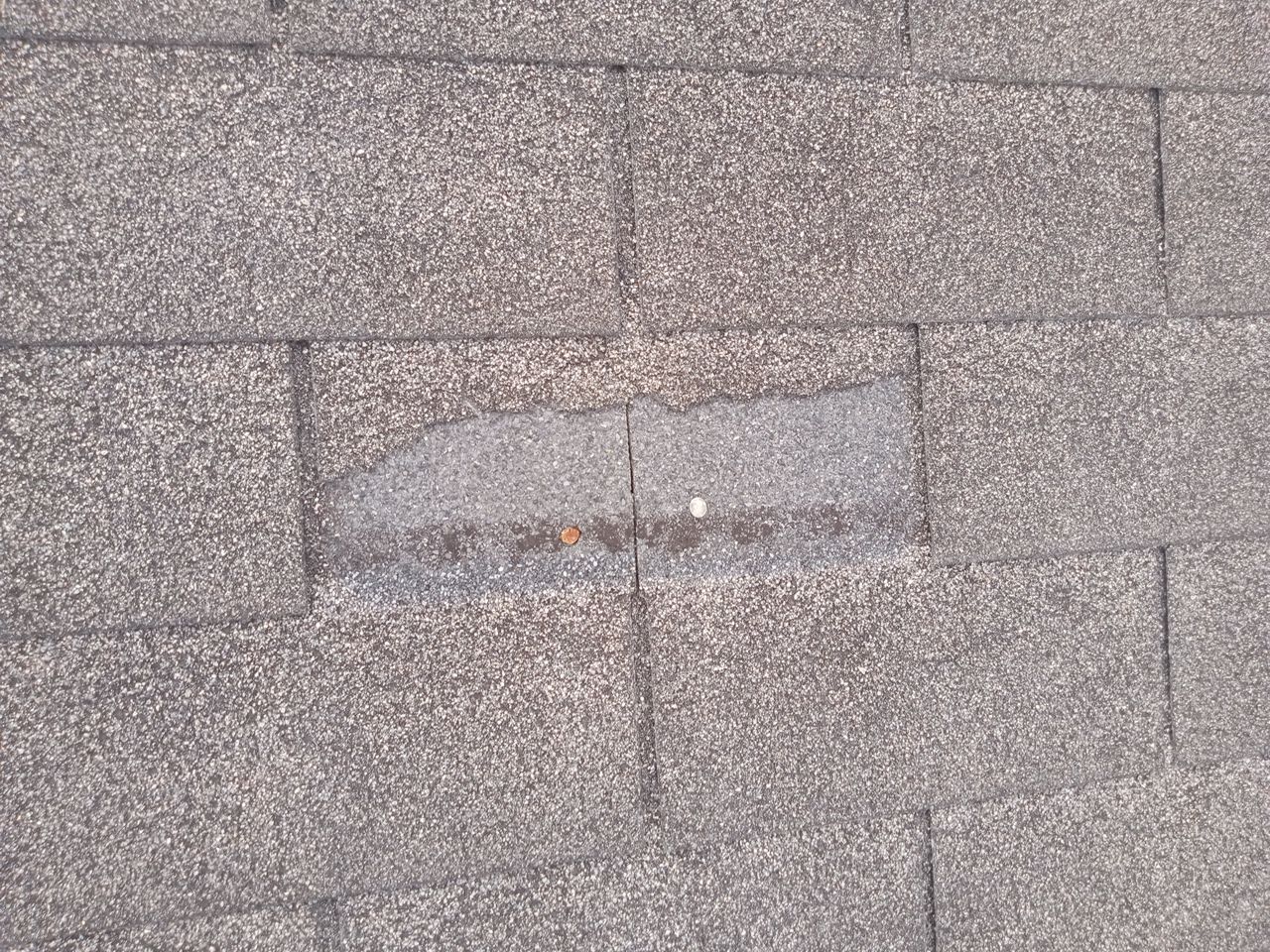 Residential Roofing Repair using Atlas Pinnacle Pristine Tan Mist by Talya Roofing