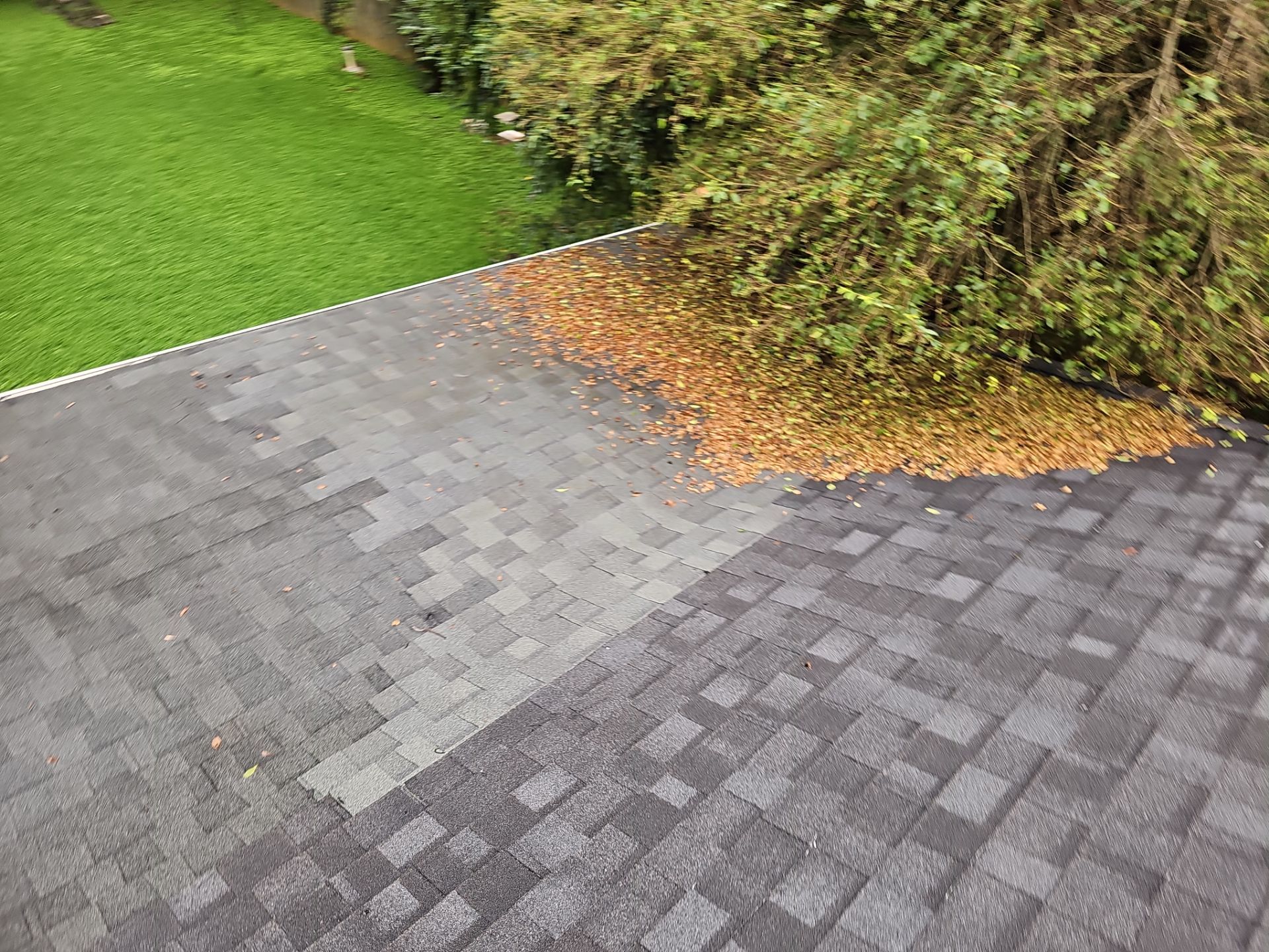 Judy roof replacement  by BROCK BUILDERS 