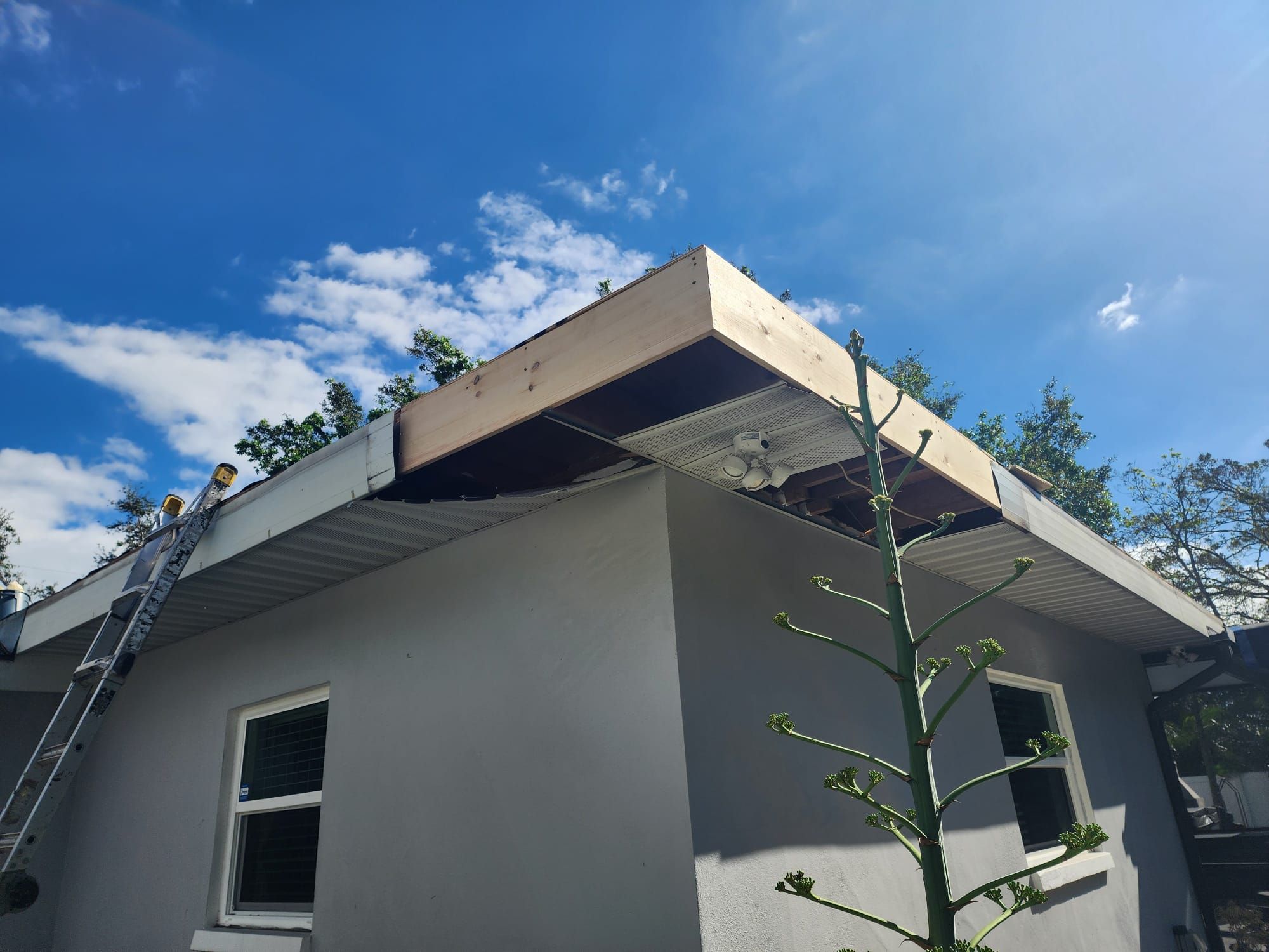 Project in Seminole 33776 by Mitchell Roofing Company LLC
